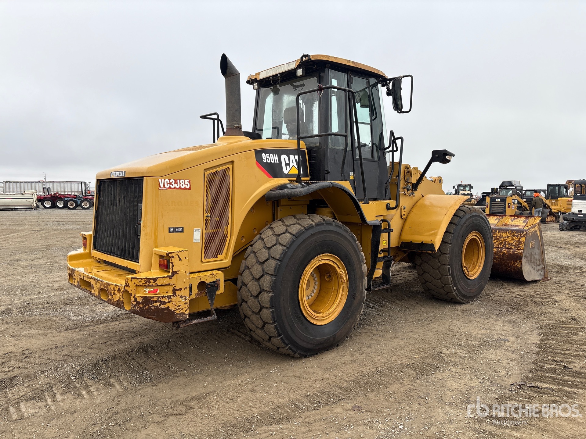 General Appearance with Zdjęcie, prawy dolny róg