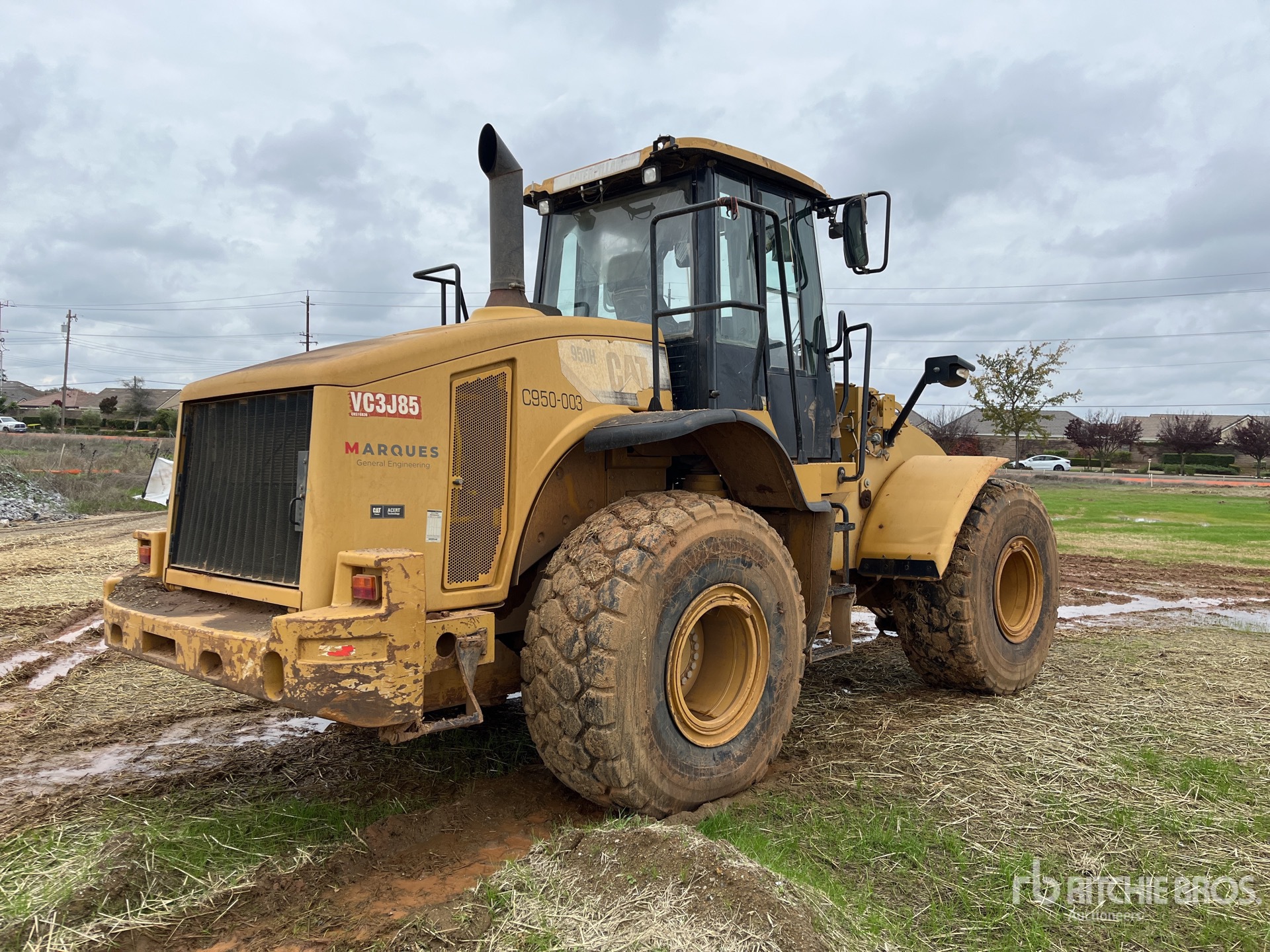 General Appearance with 