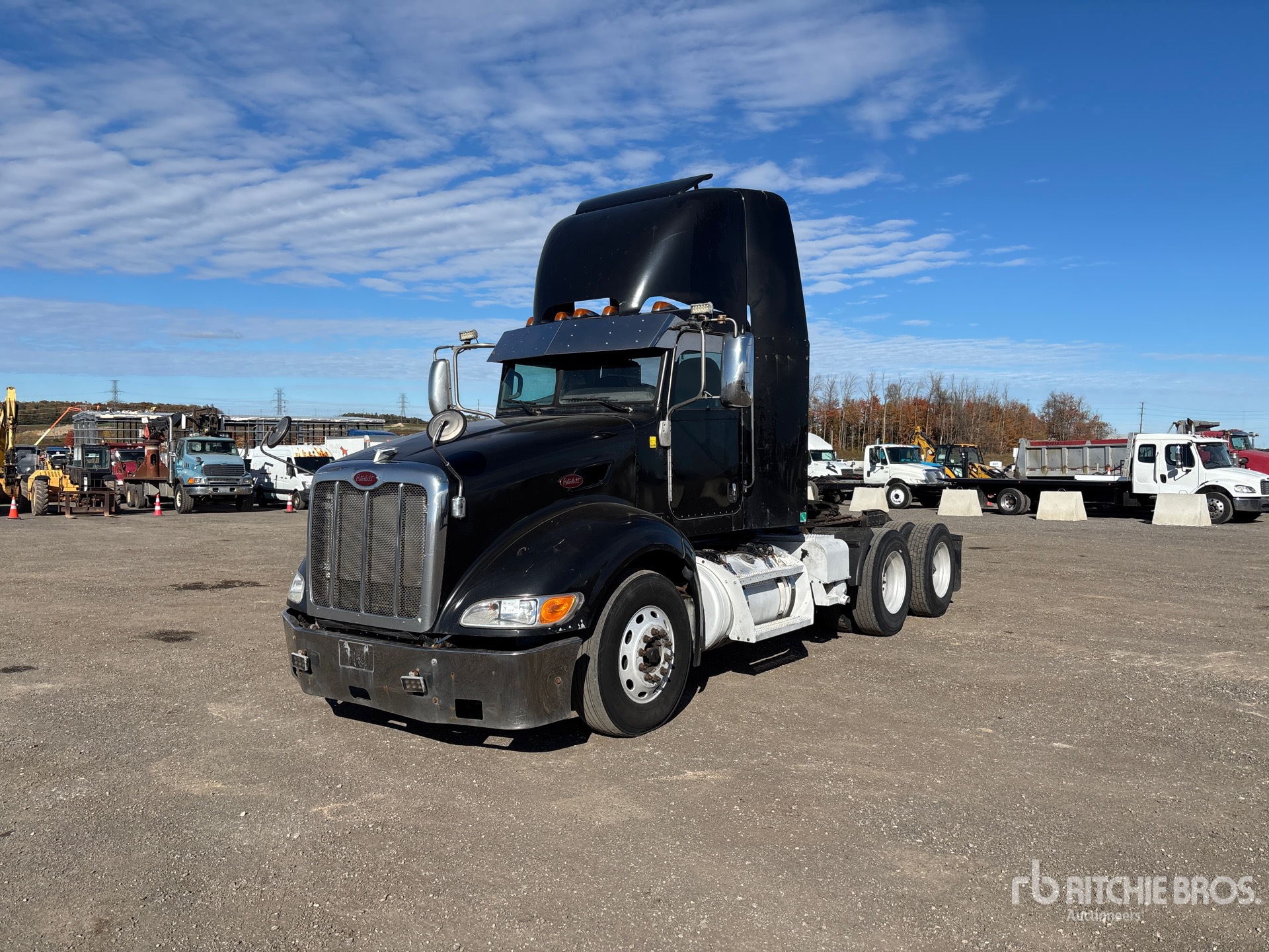 General Appearance with Spin