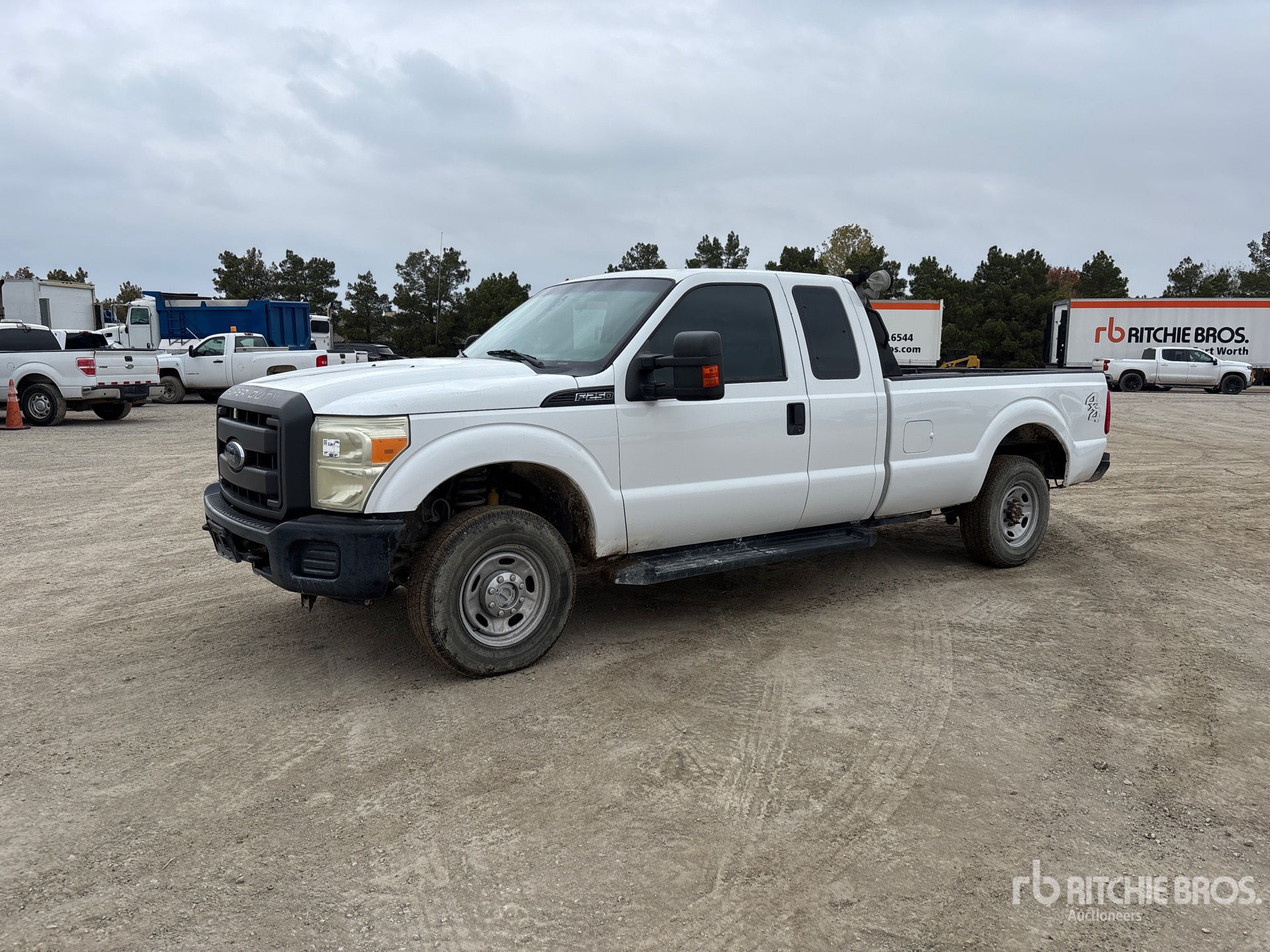 General Appearance with Spin