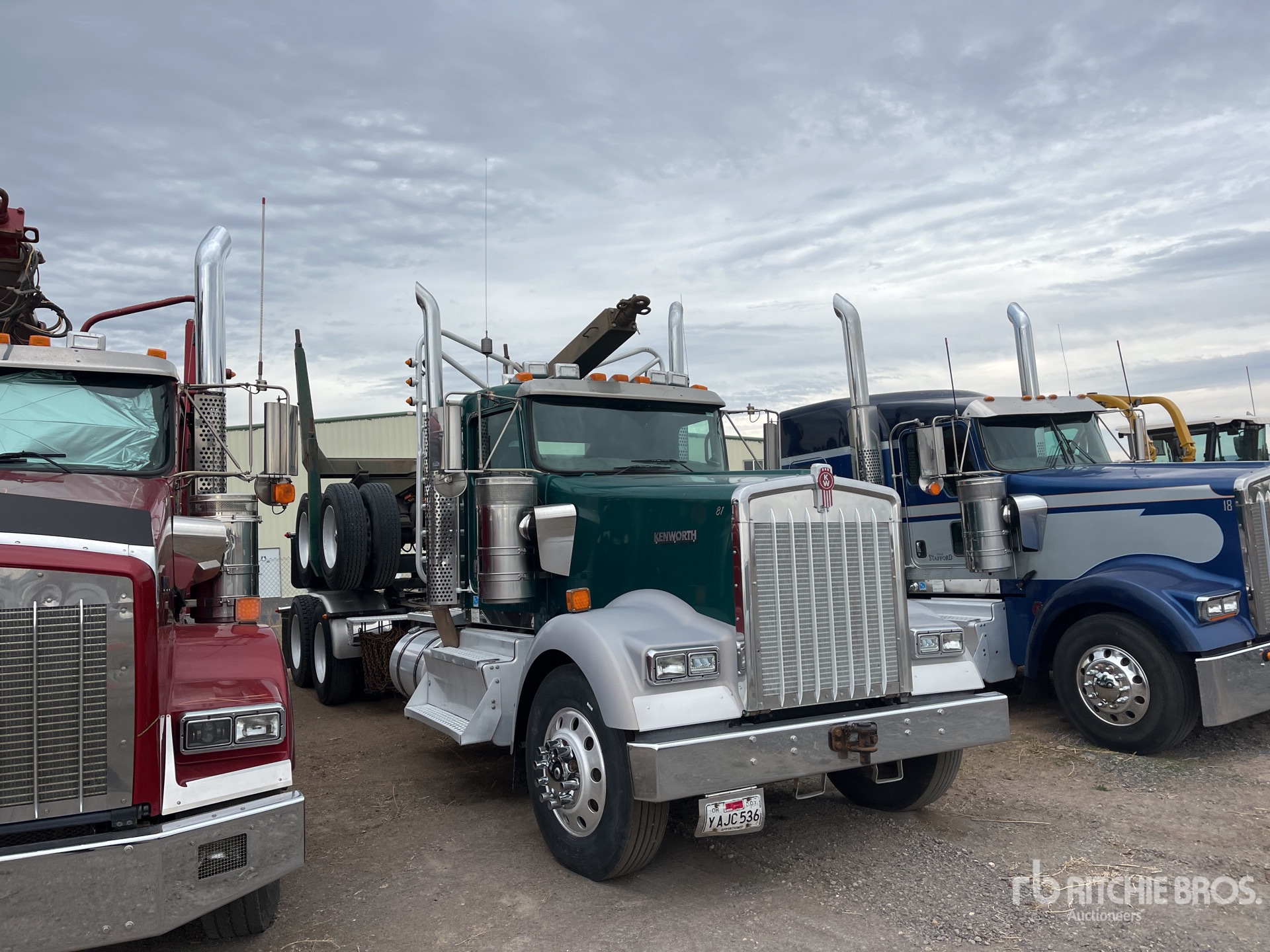 General Appearance with