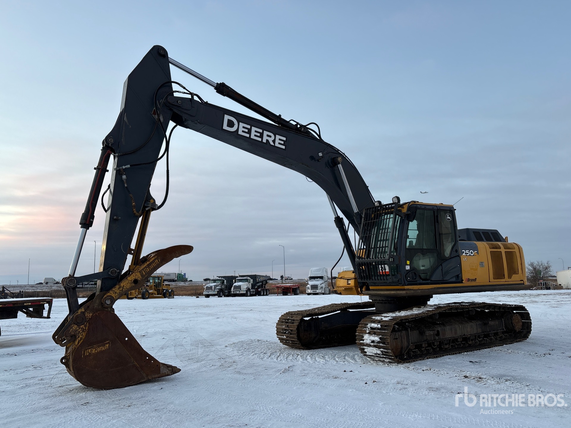 General Appearance with Spin