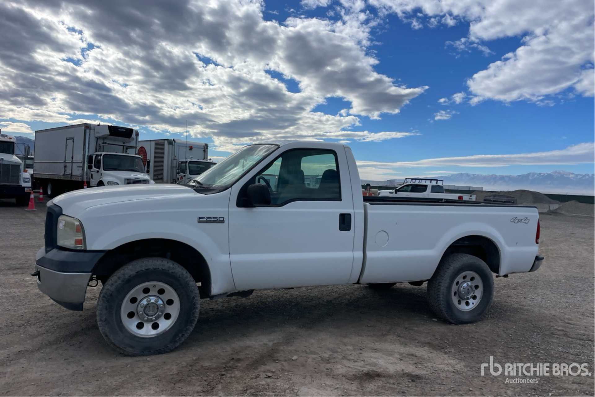 General Appearance with Spin