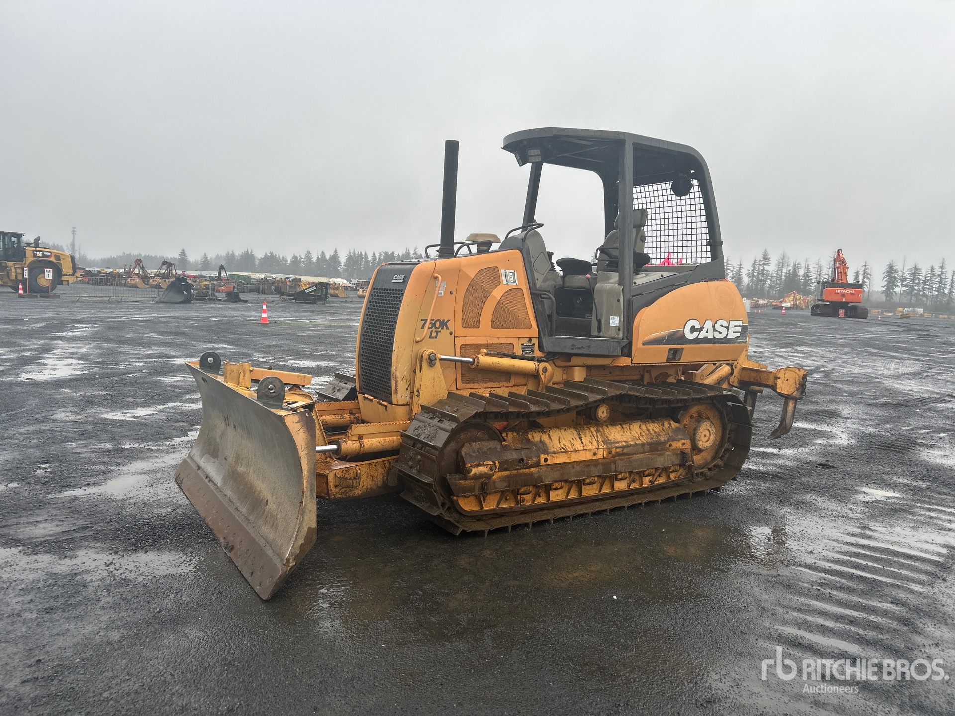 General Appearance with Spin