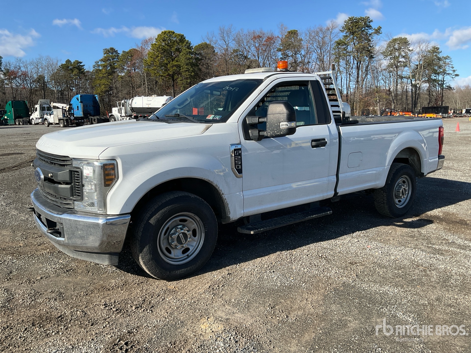 General Appearance with Spin