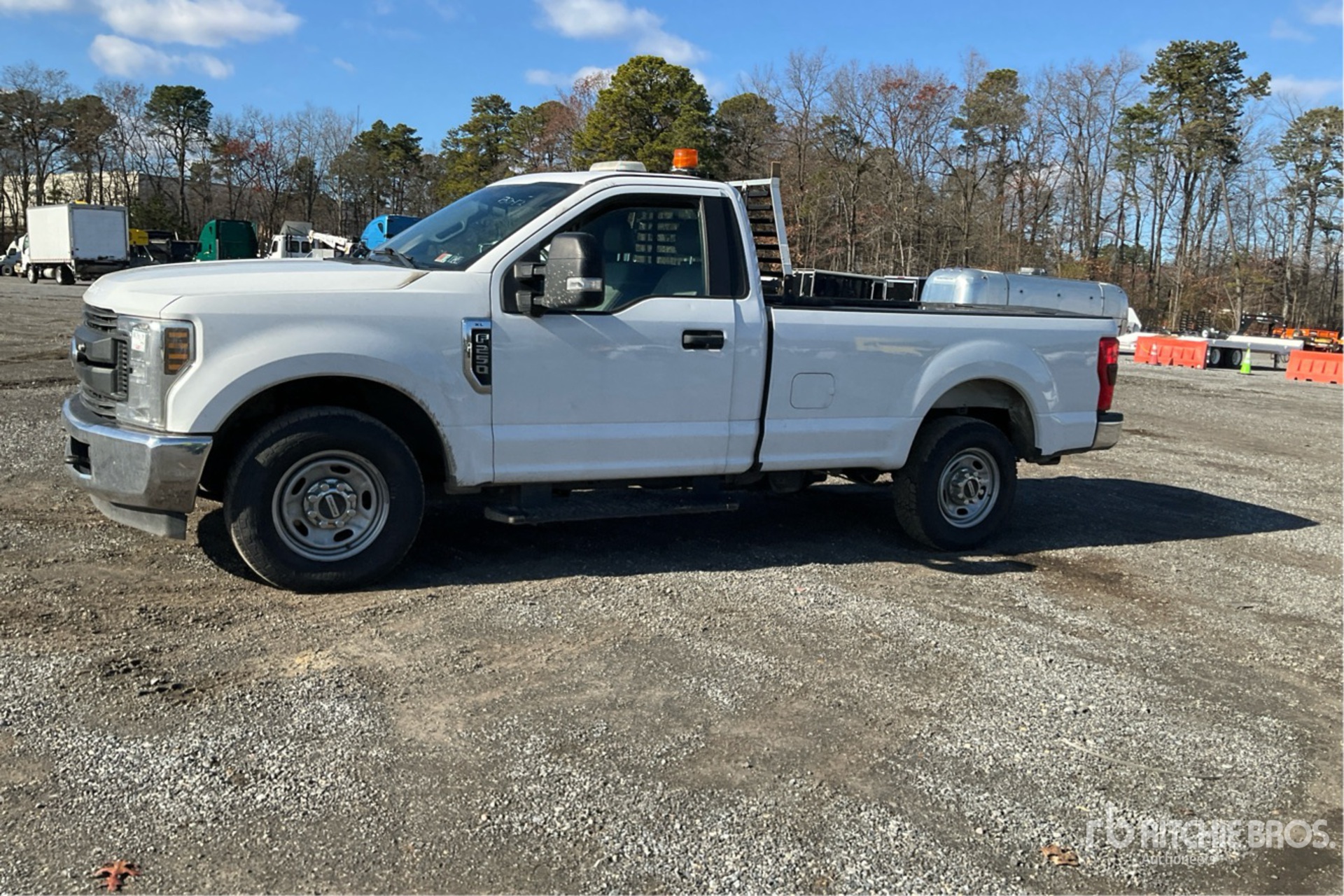 General Appearance with Spin