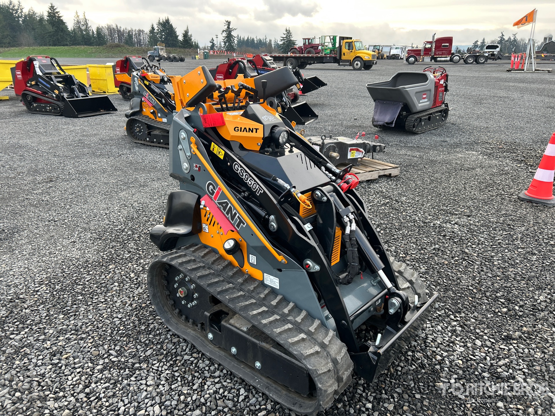 General Appearance with Picture, Right Front Corner