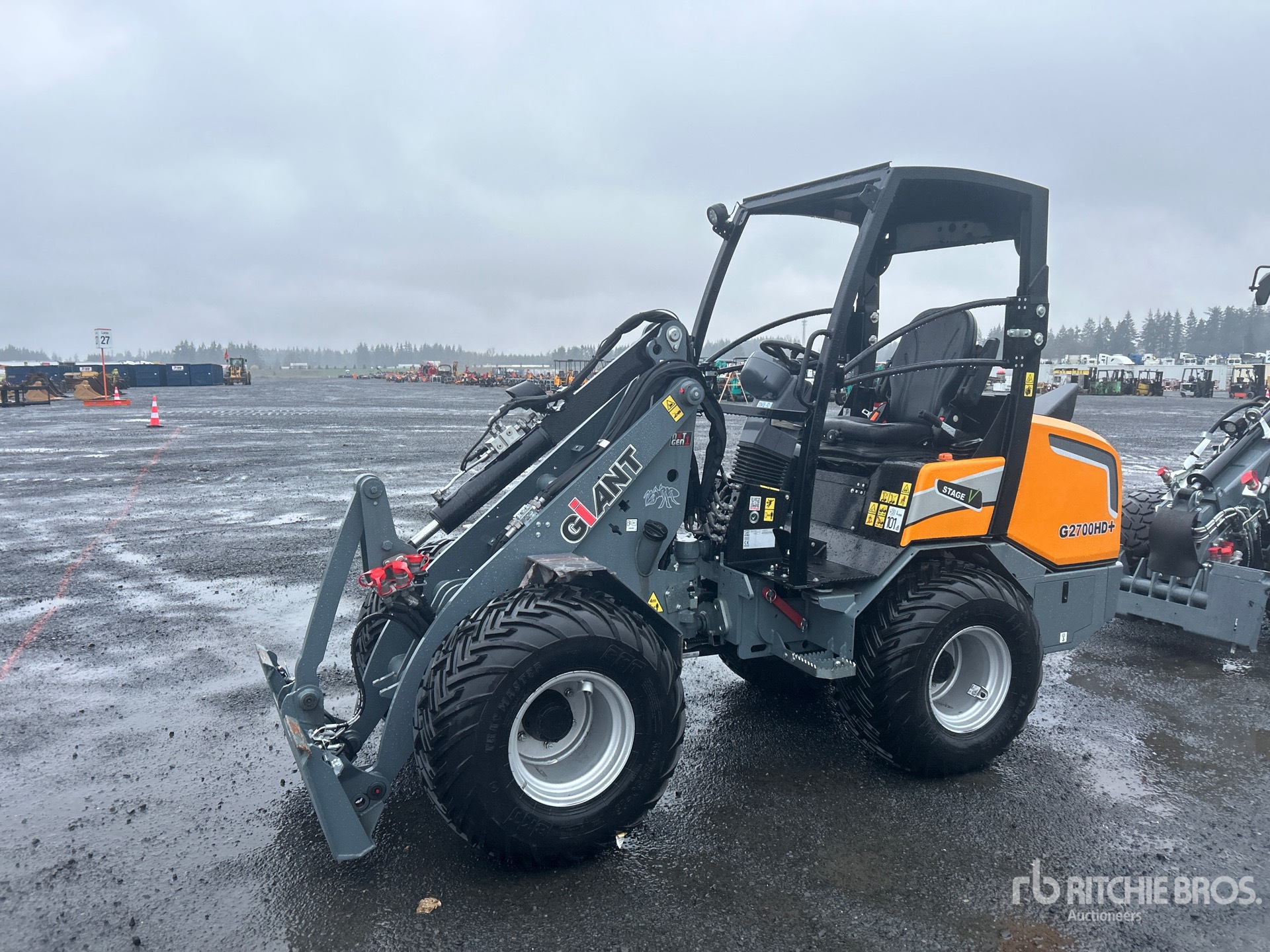 General Appearance with Spin