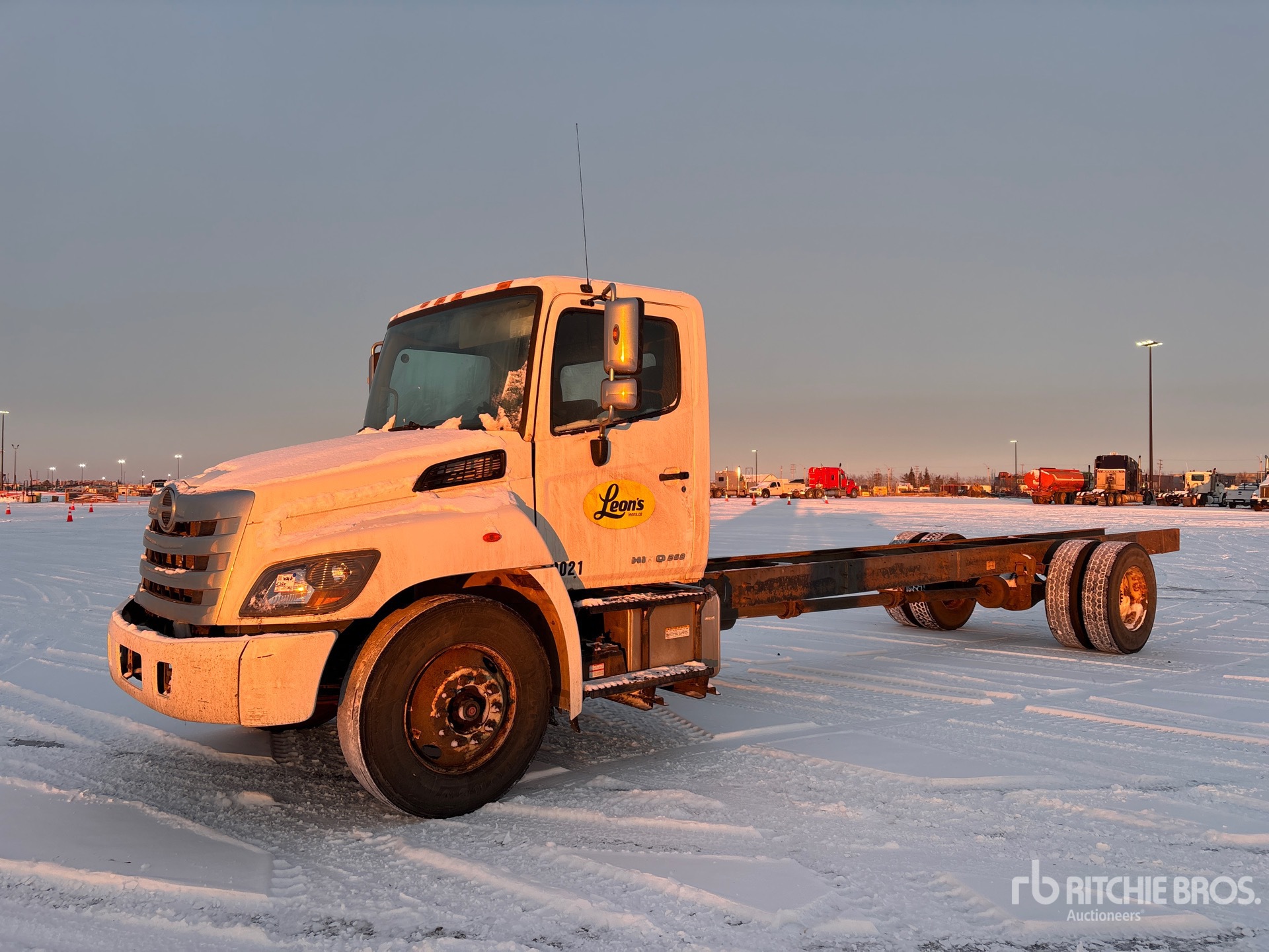 General Appearance with Spin