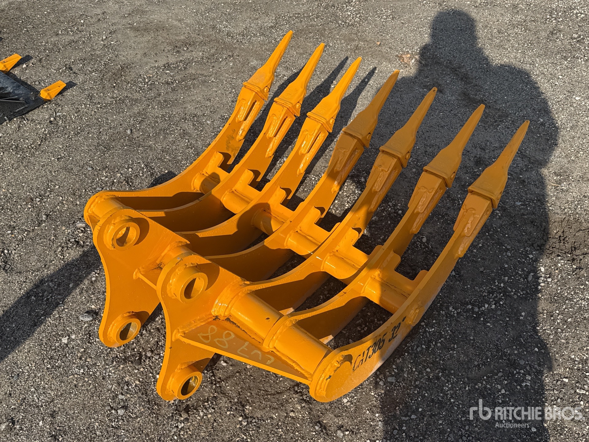 General Appearance with Image, coin arrière droit