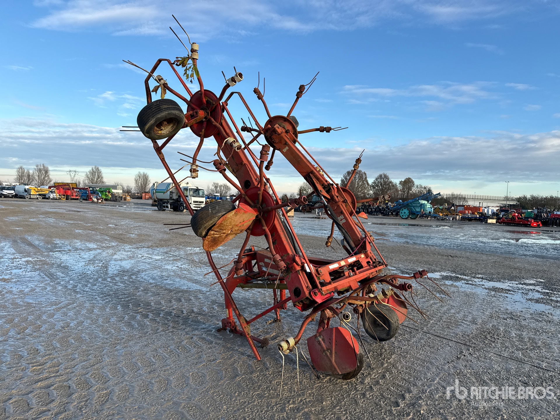 General Appearance with 