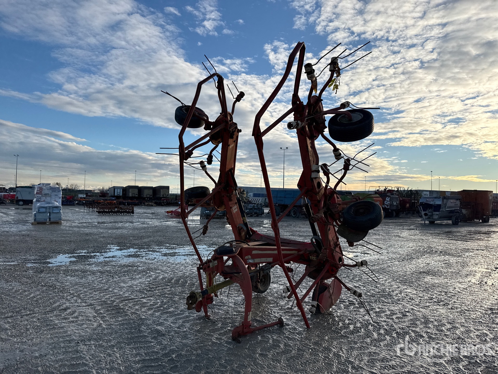 General Appearance with 