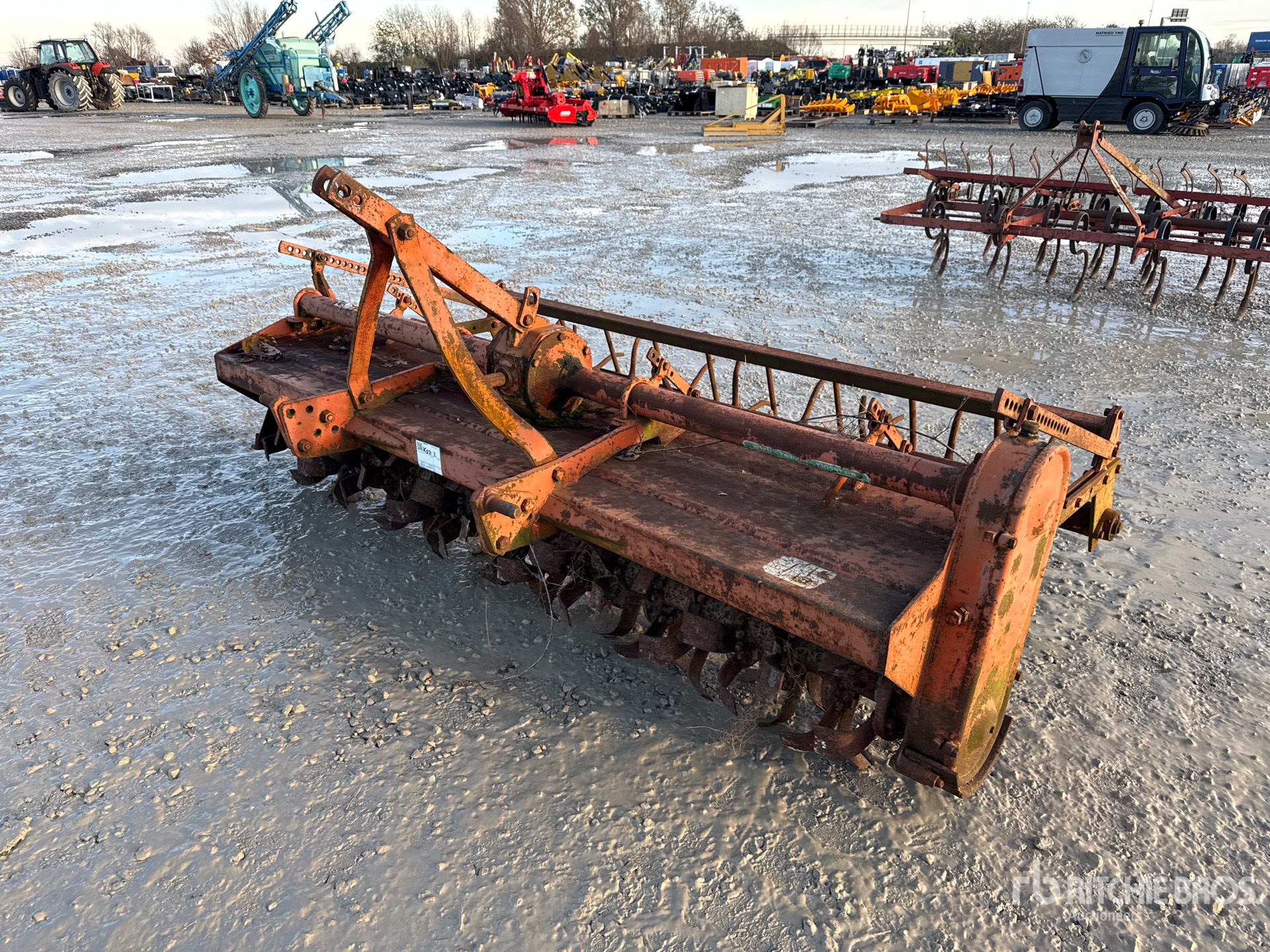 General Appearance with 