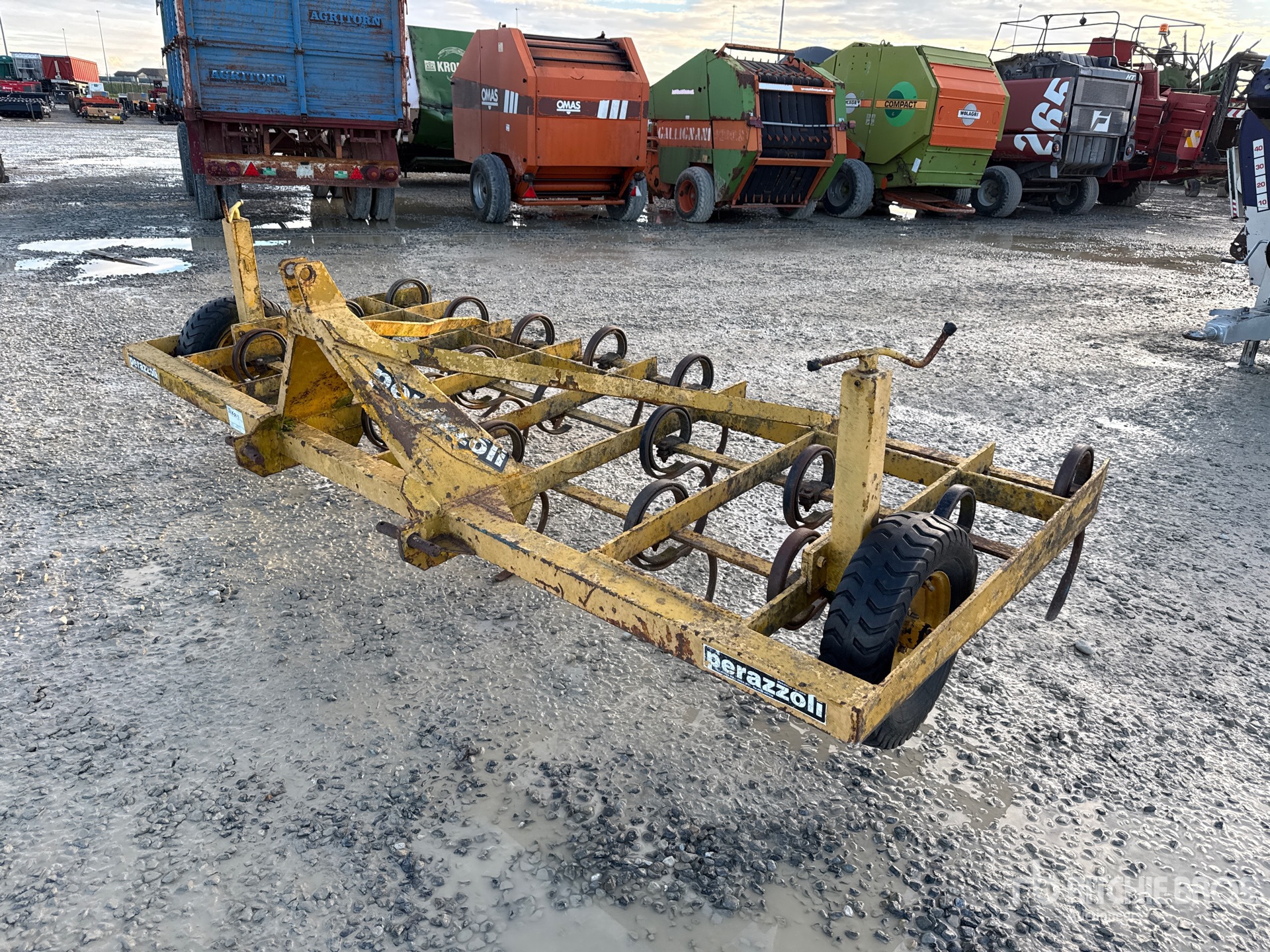 General Appearance with 