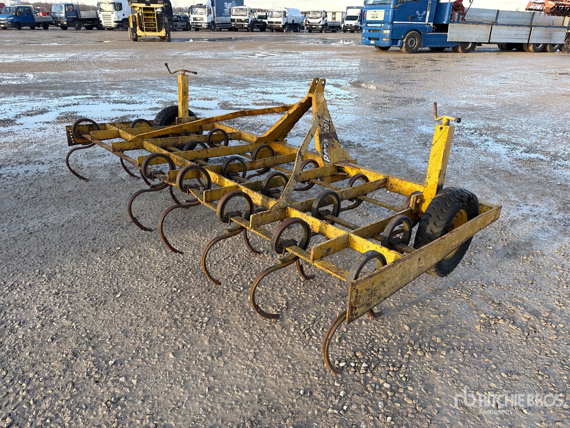 General Appearance with 