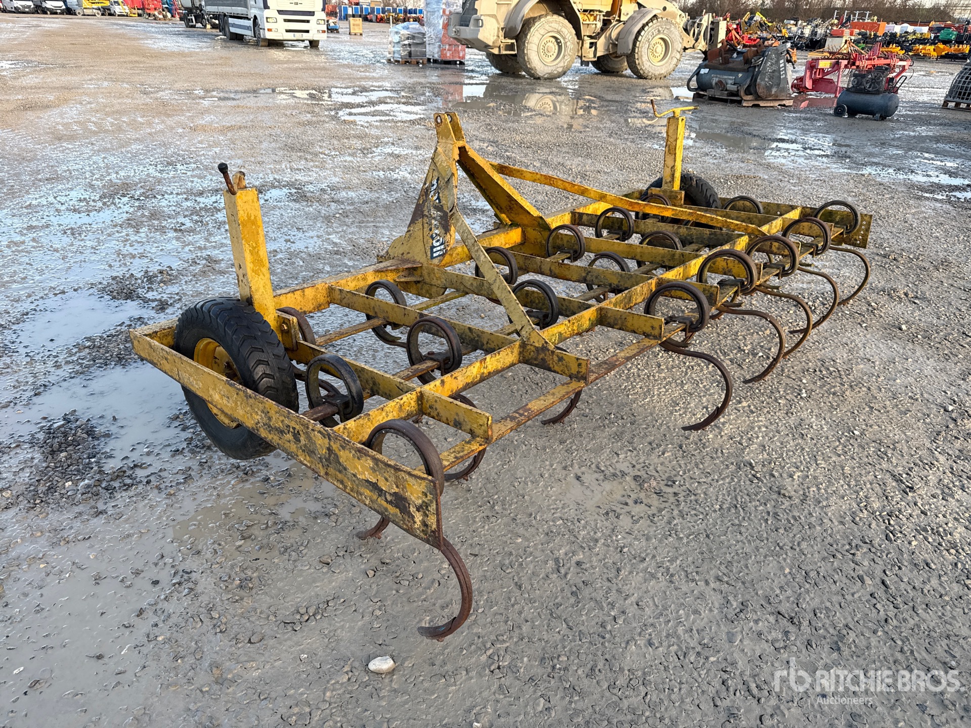 General Appearance with 