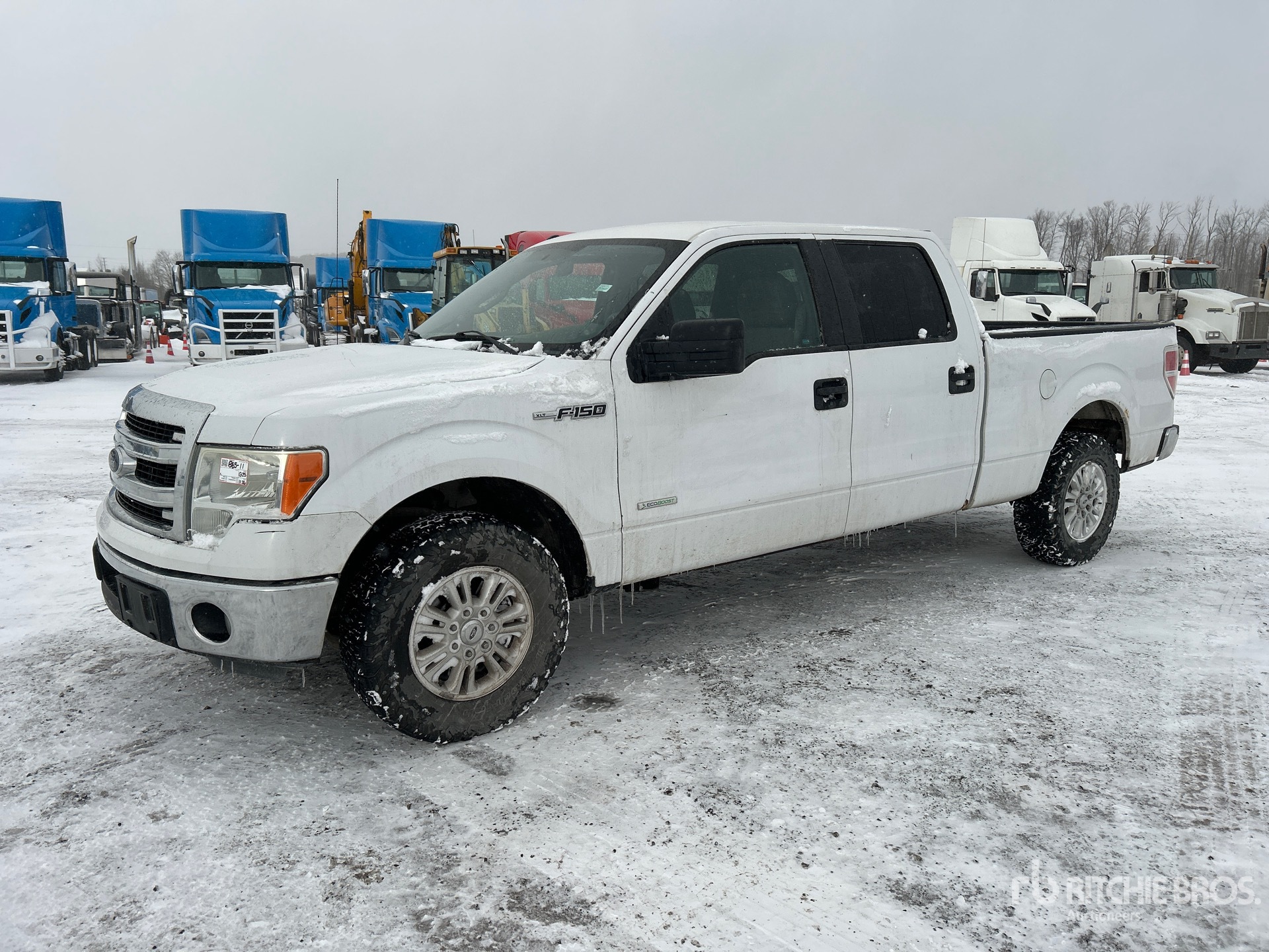 General Appearance with Spin