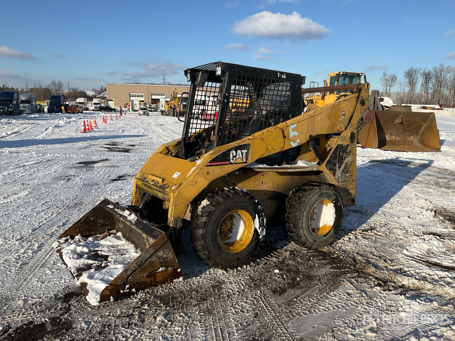 General Appearance with Spin