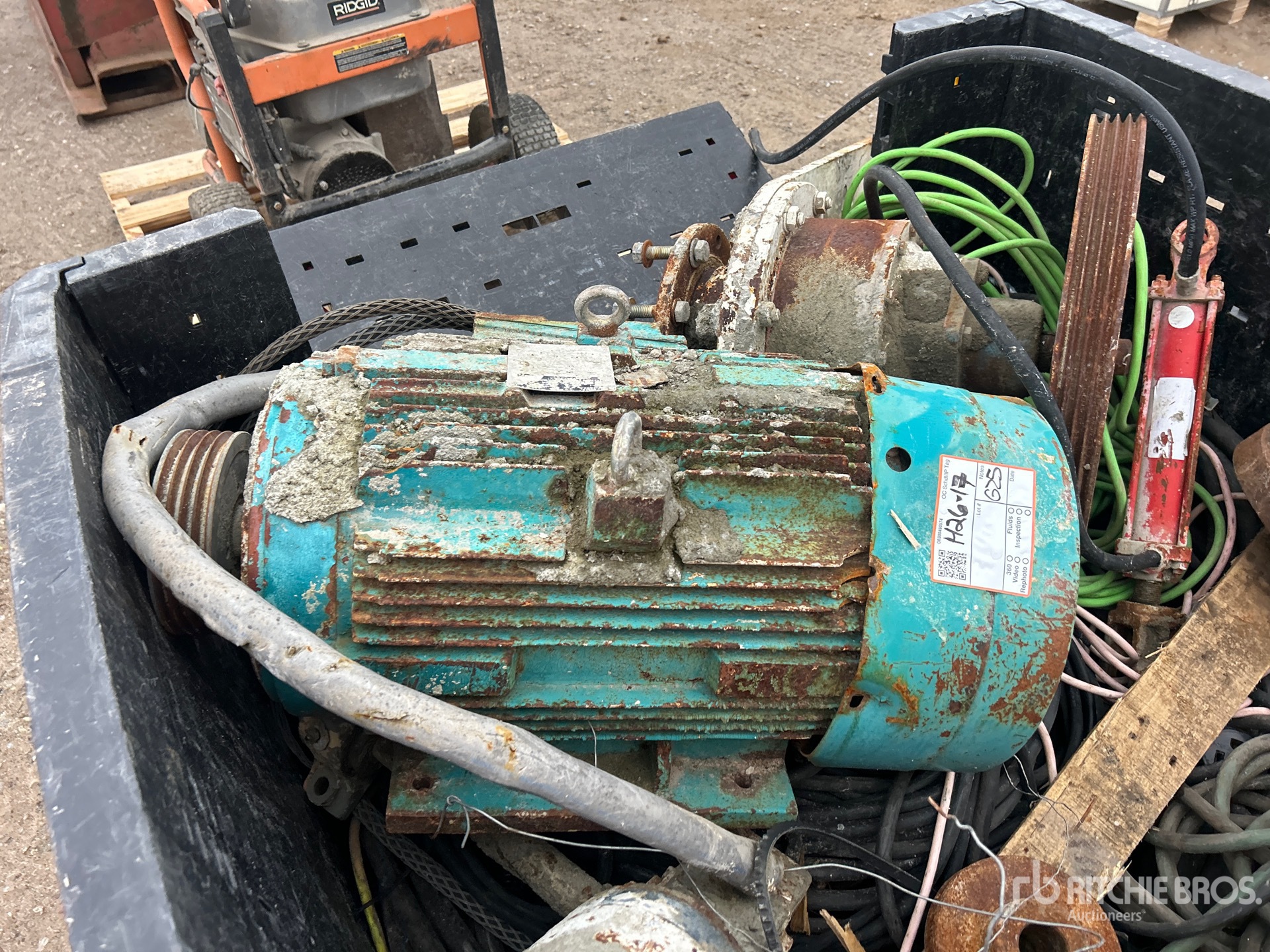 General Appearance with 