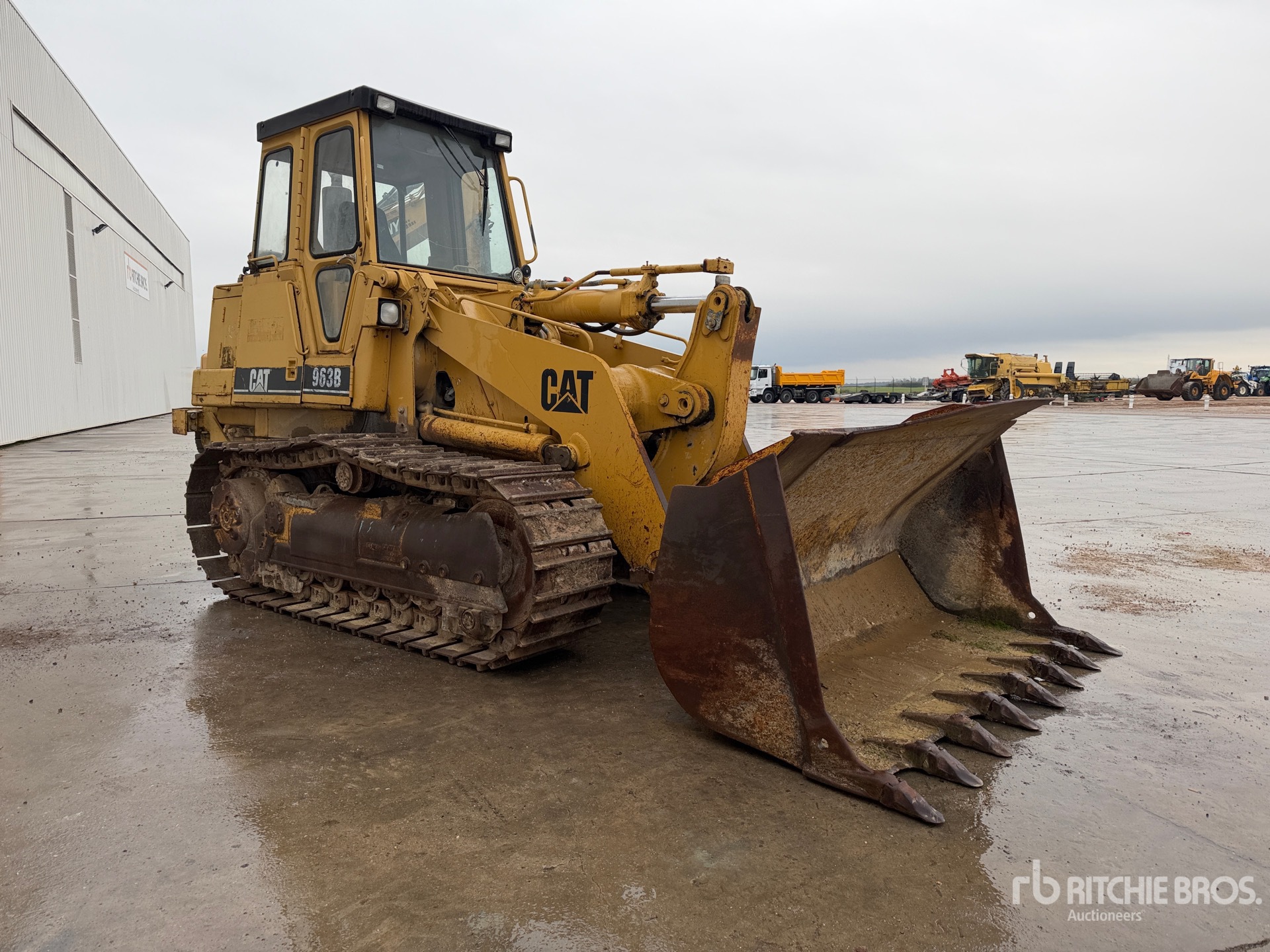 General Appearance with