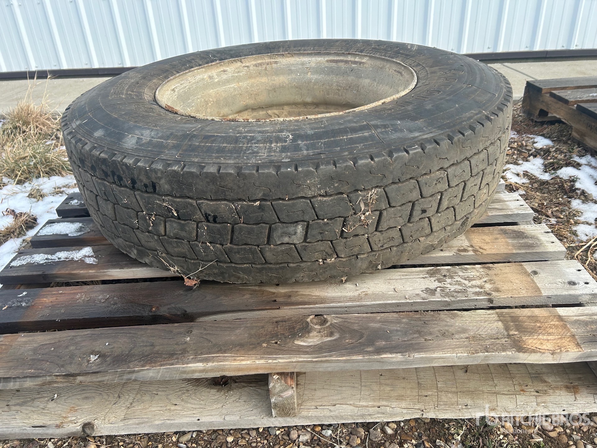 General Appearance with 