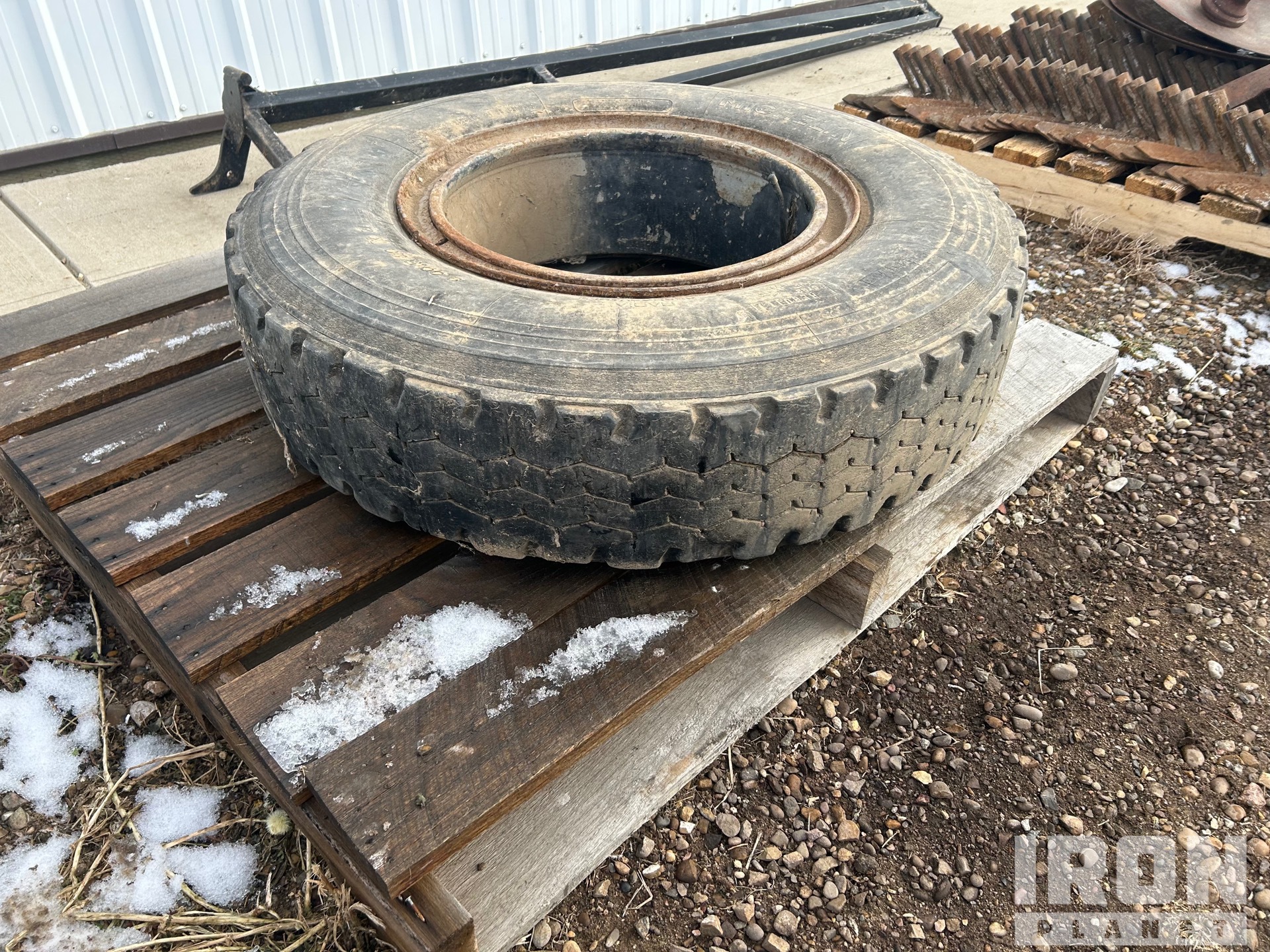 General Appearance with 