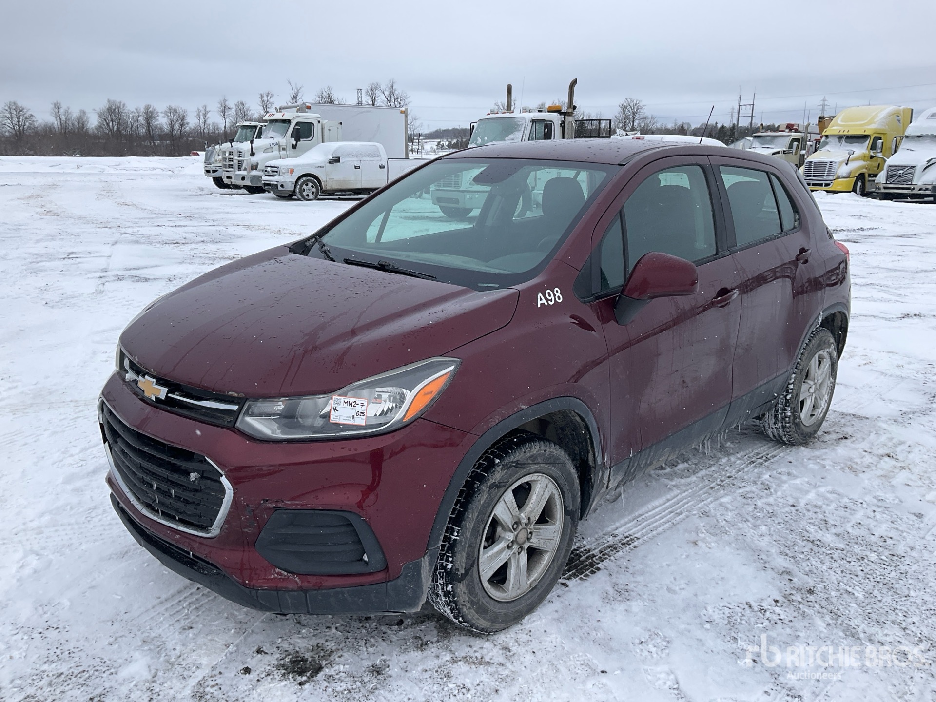 General Appearance with Spin