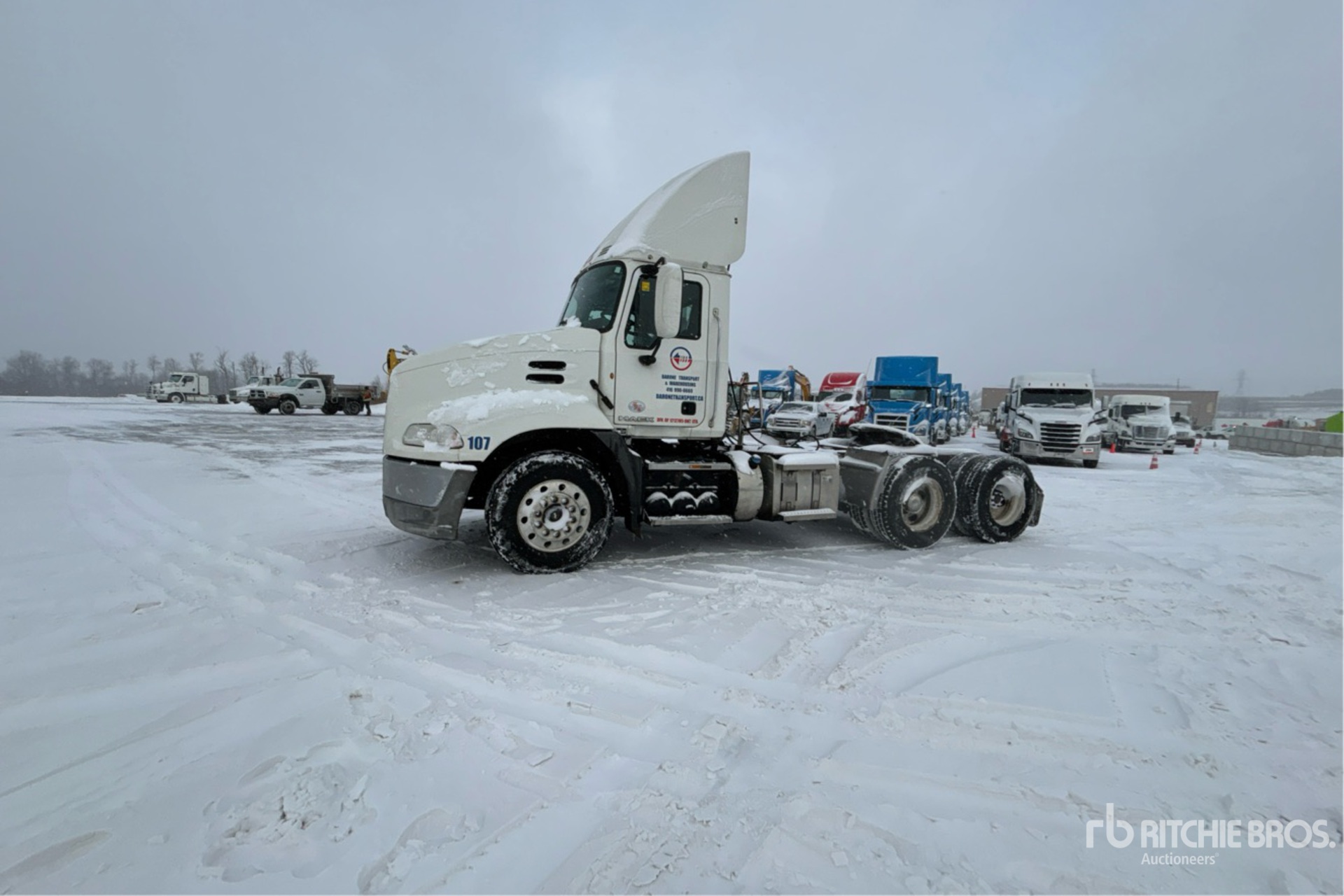 General Appearance with Bild, Ecke vorne links