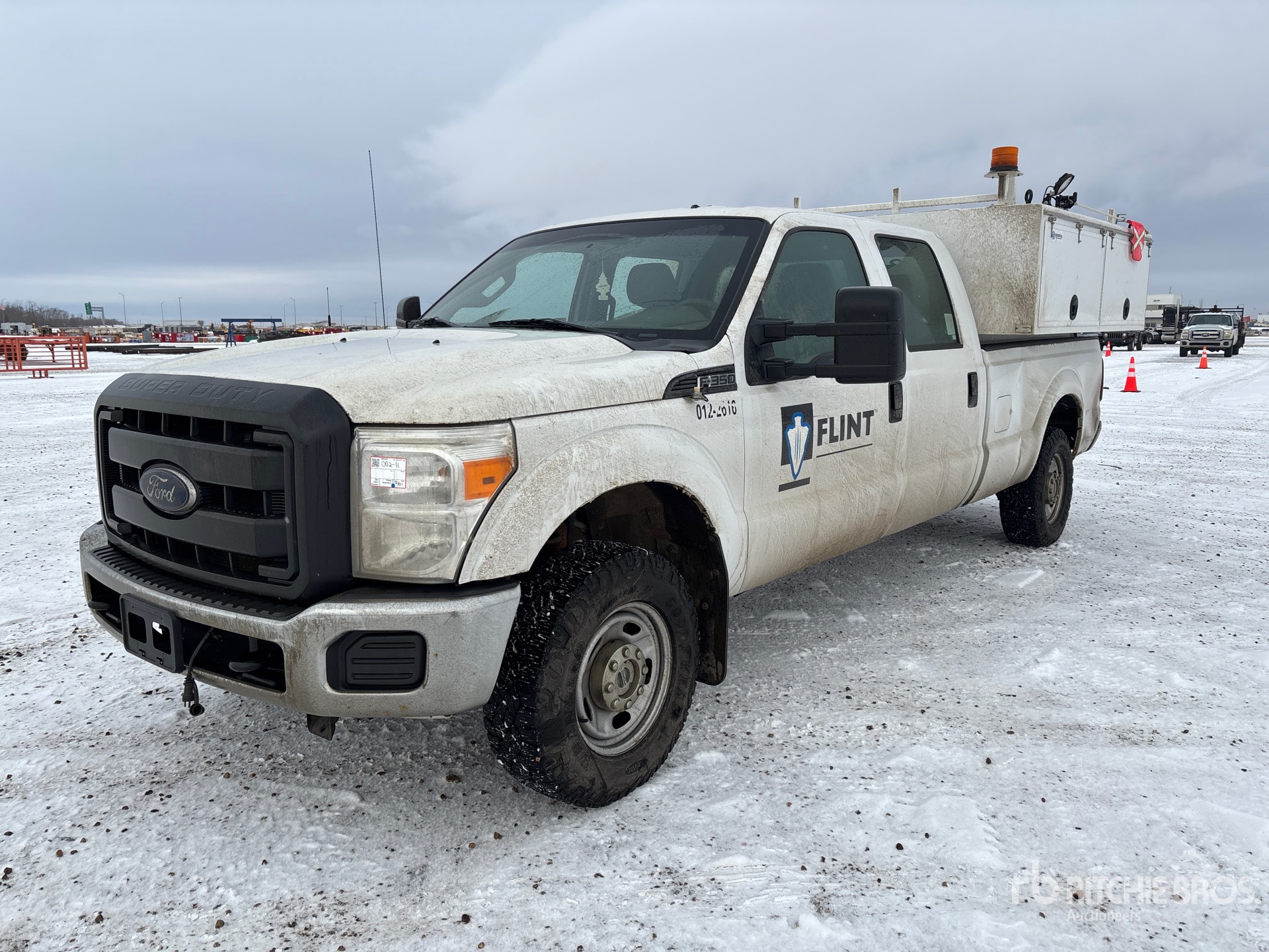 General Appearance with Spin