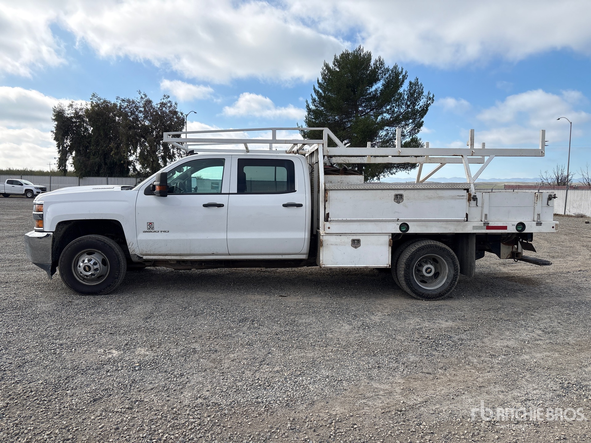 General Appearance with Spin