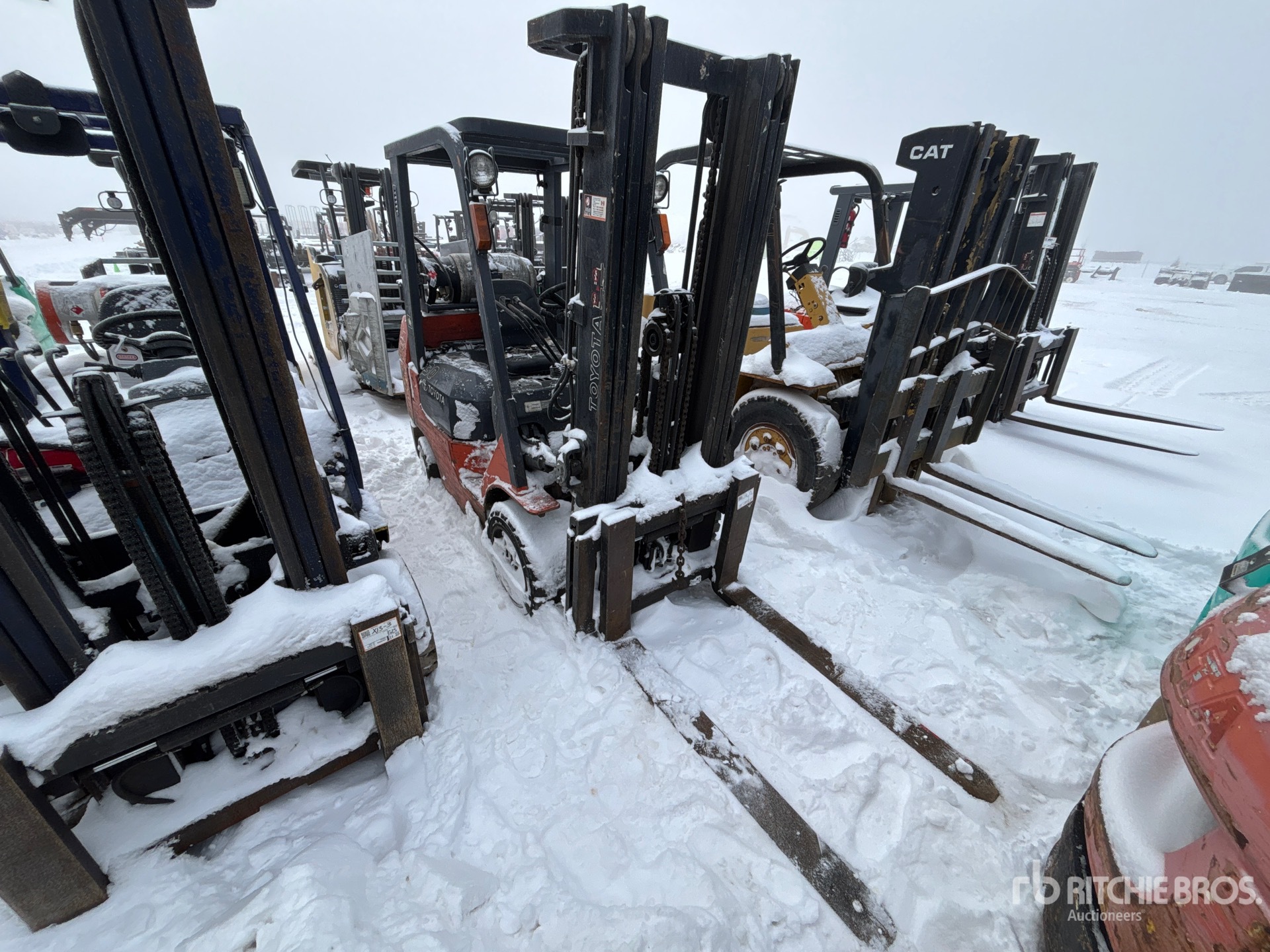 General Appearance with Zdjęcie, prawy górny róg