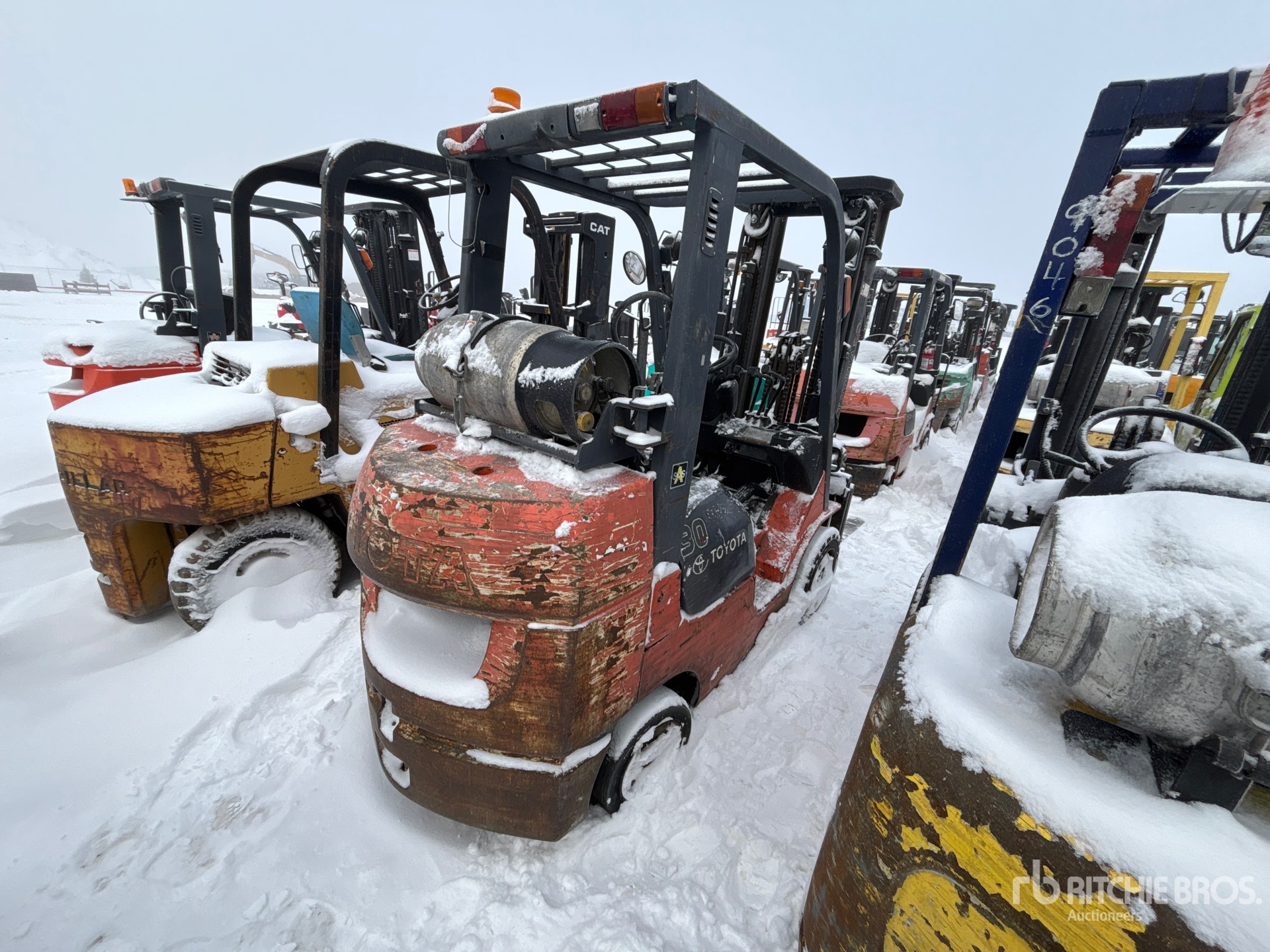 General Appearance with Zdjęcie, prawy dolny róg