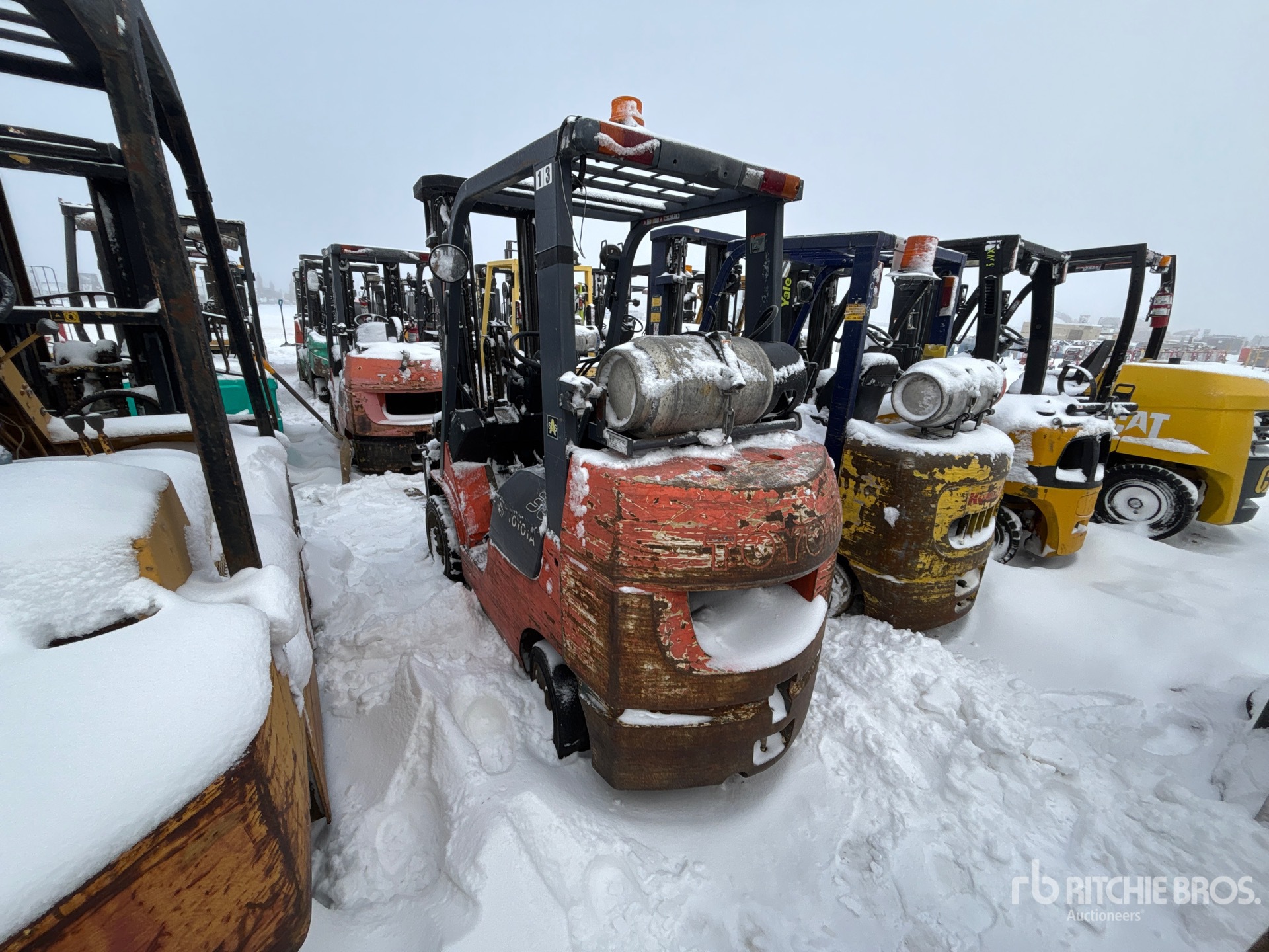 General Appearance with Zdjęcie, lewy dolny róg
