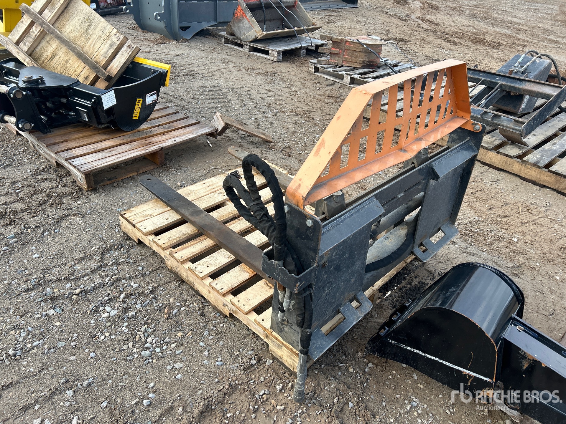 General Appearance with Zdjęcie, lewy dolny róg