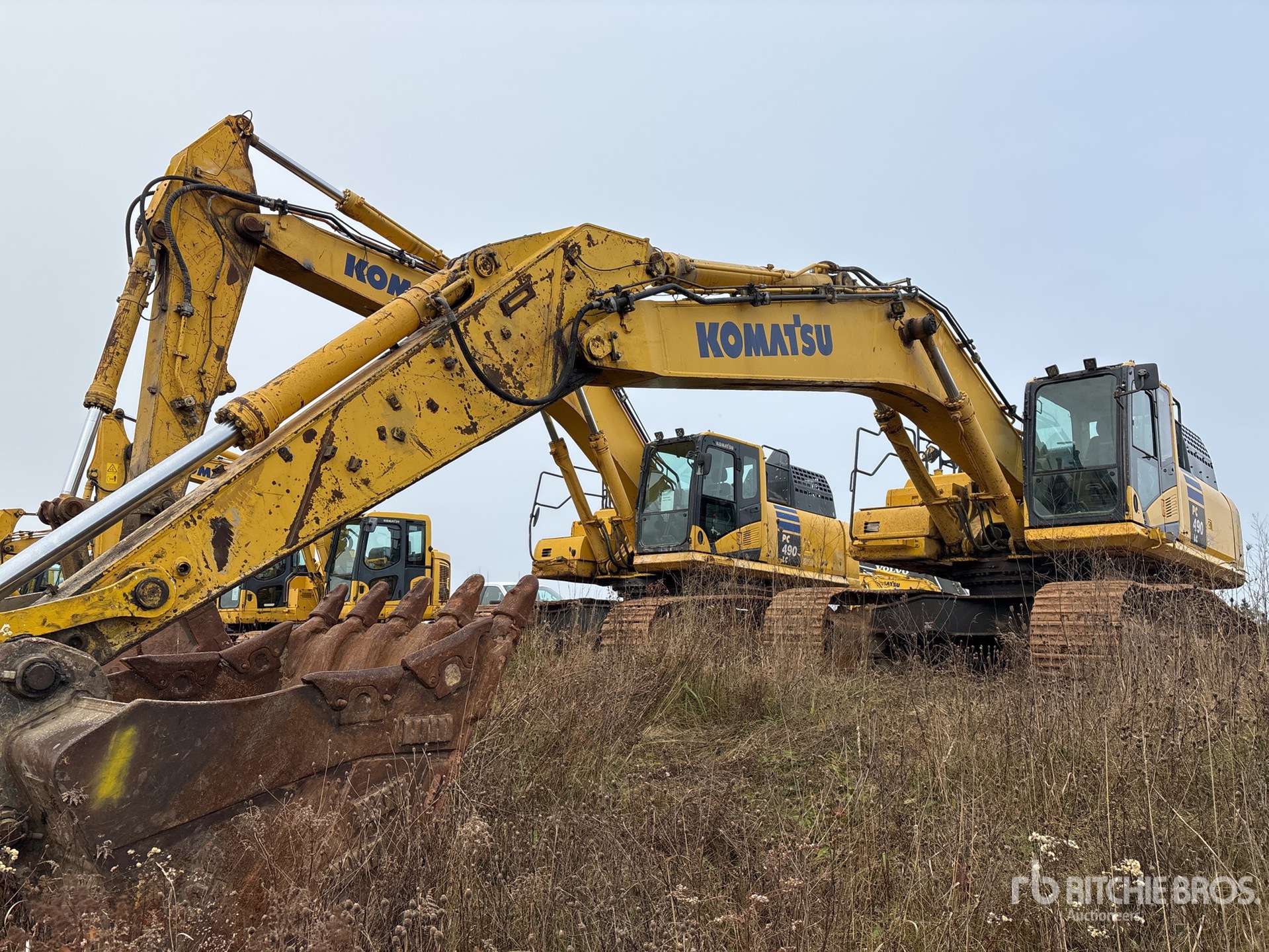 General Appearance with