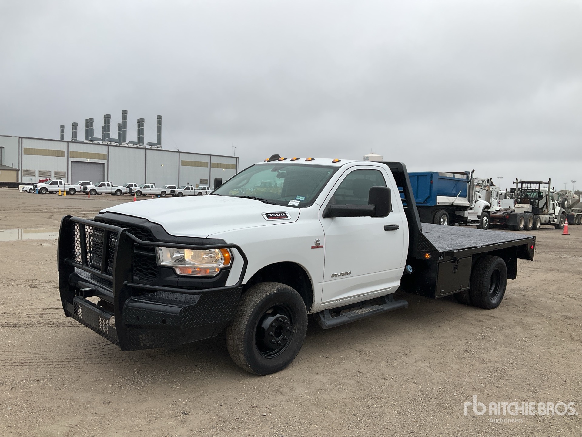 General Appearance with Spin