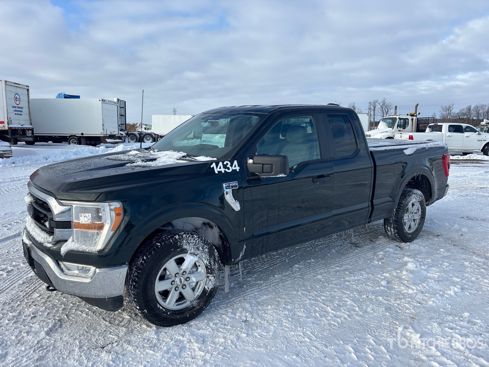 General Appearance with Spin