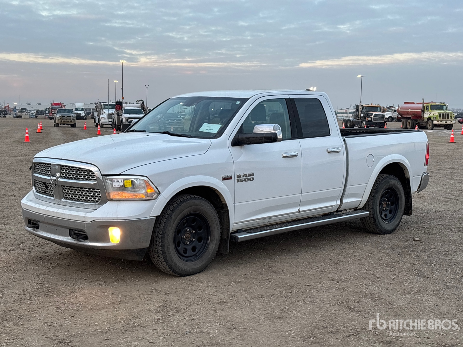 General Appearance with Spin