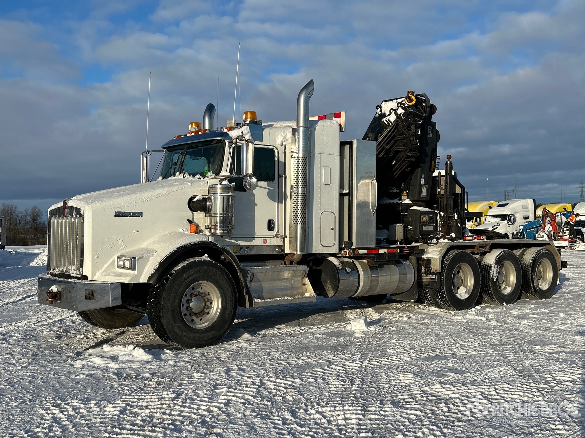 General Appearance with Spin