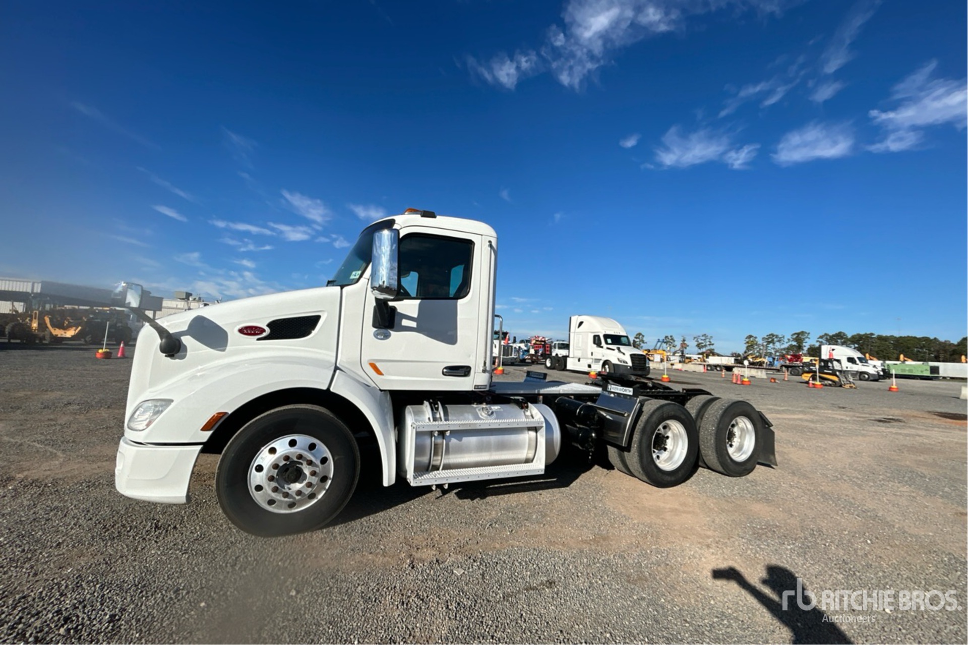 General Appearance with Spin