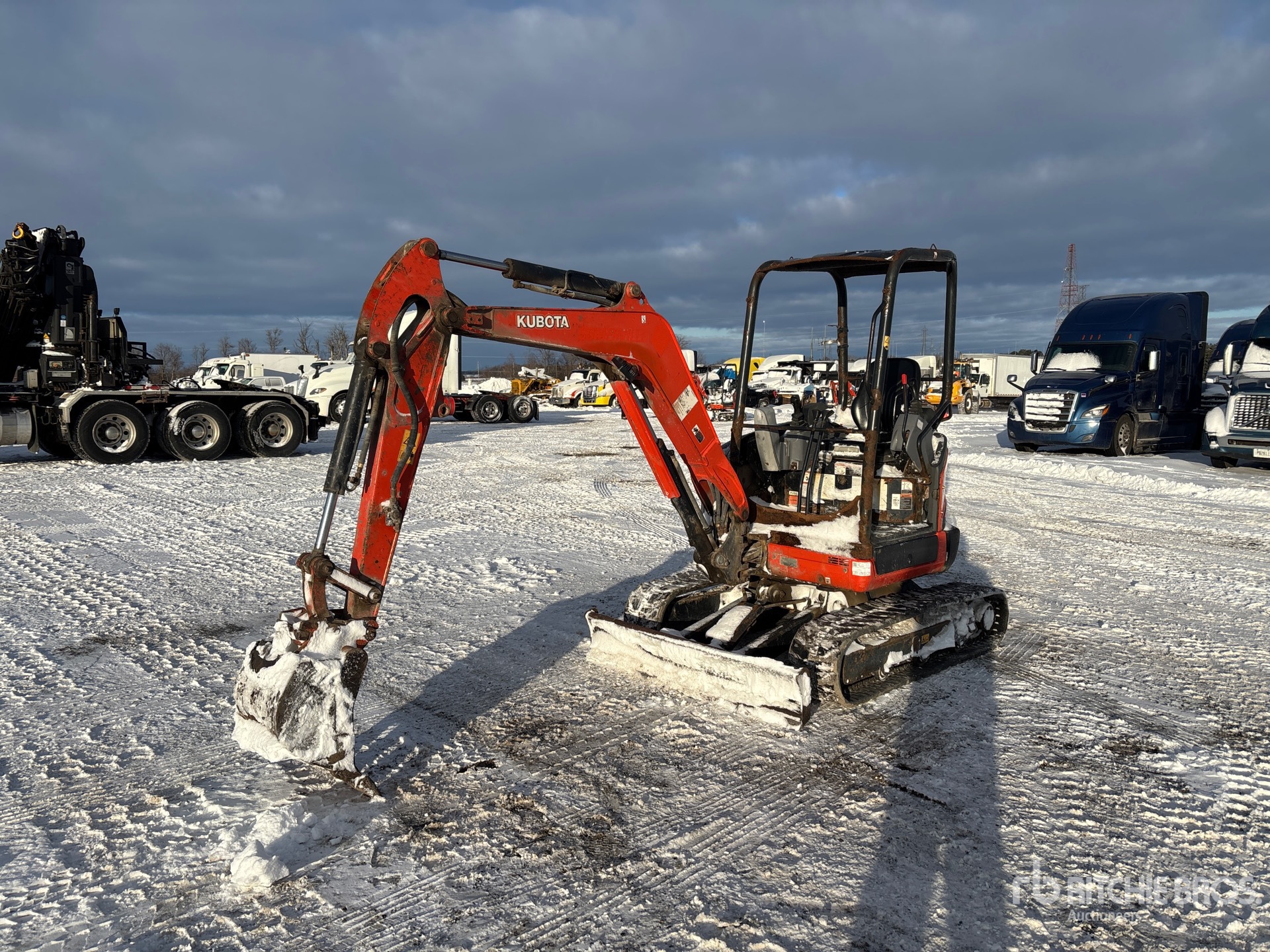 General Appearance with Spin