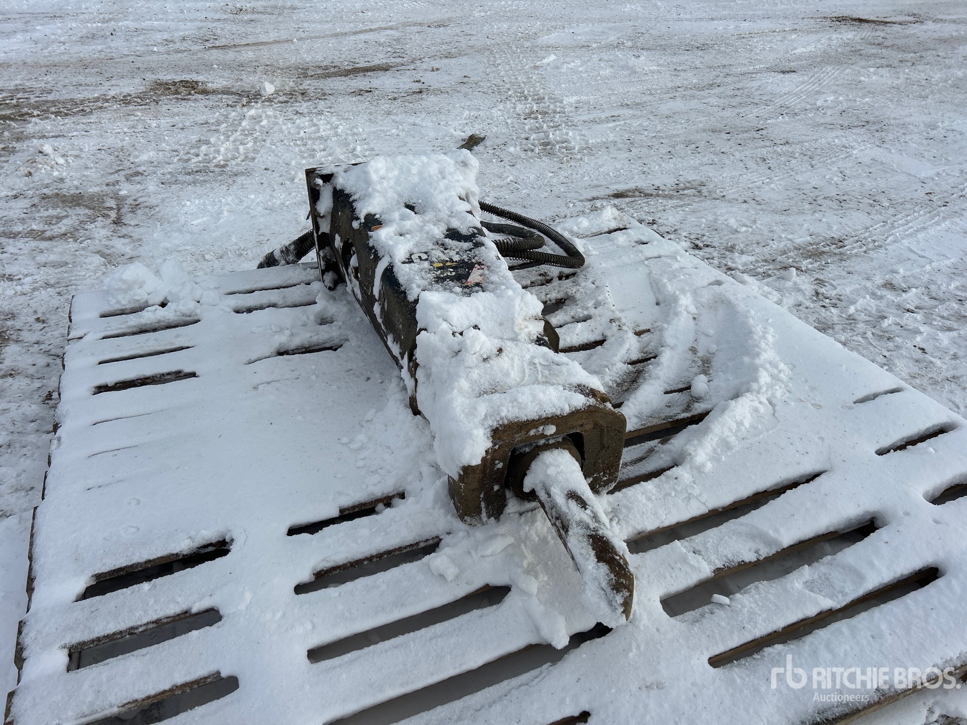 General Appearance with Bild, Ecke vorne rechts