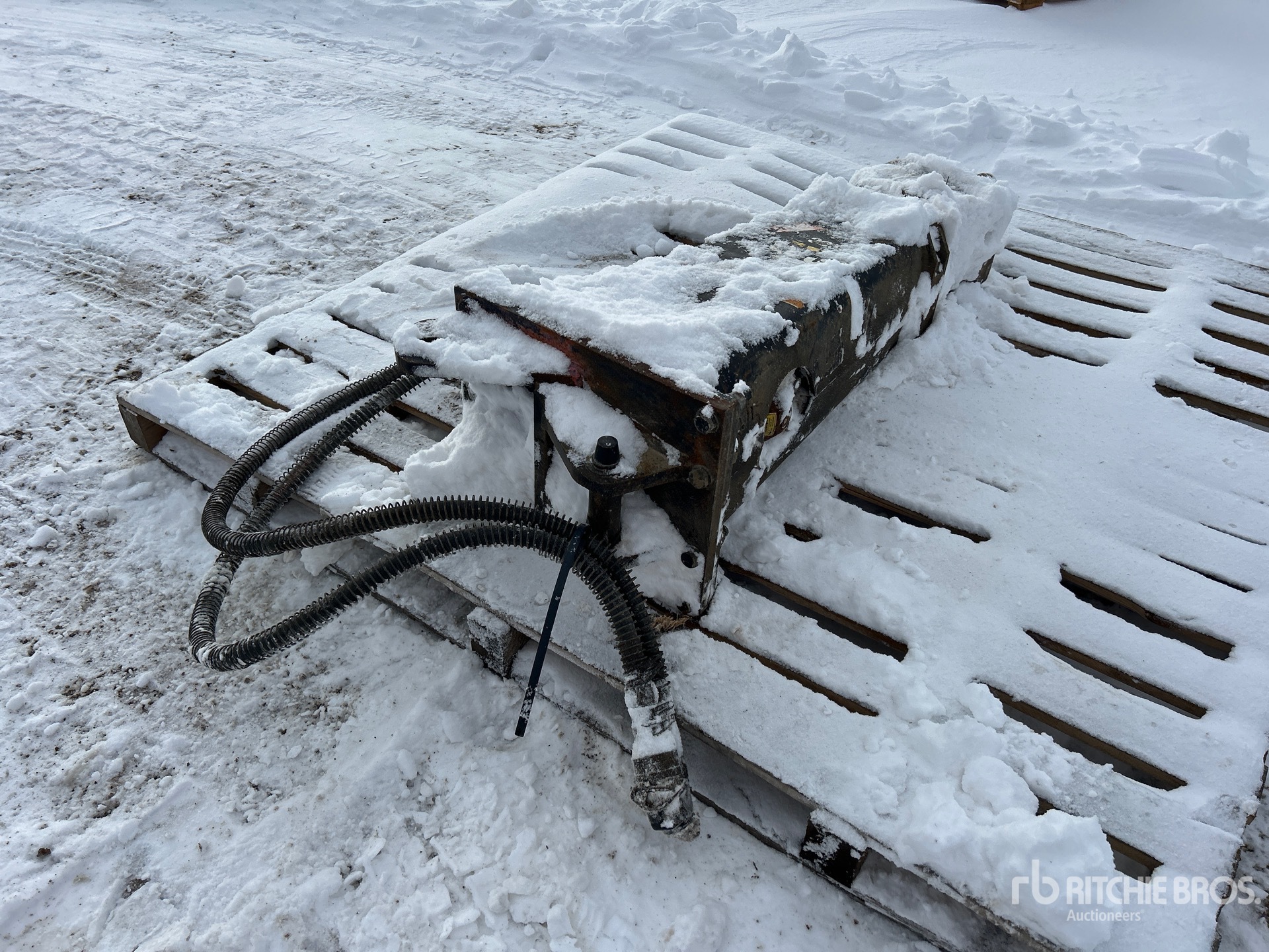 General Appearance with Bild, Ecke hinten rechts