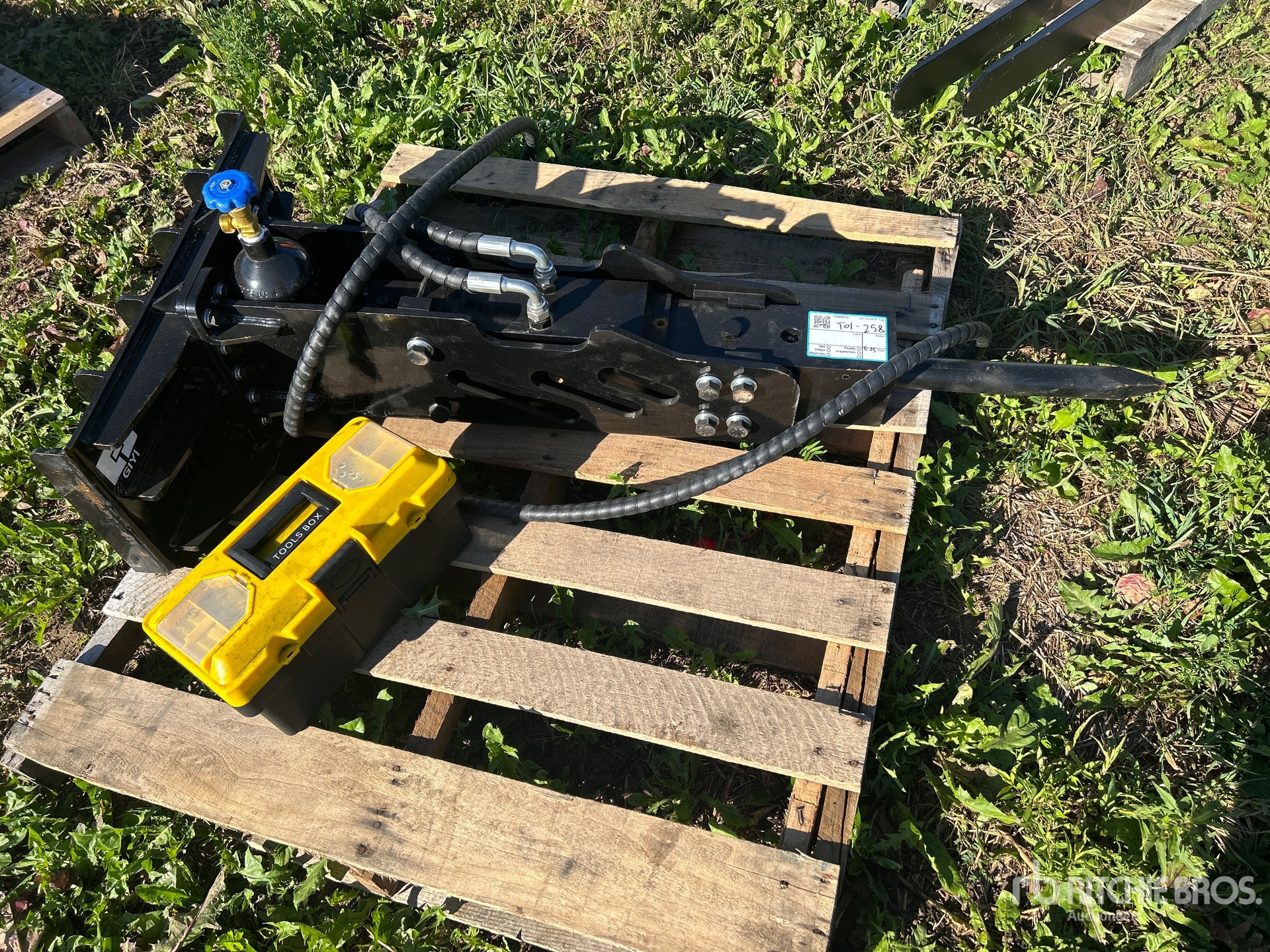 General Appearance with 