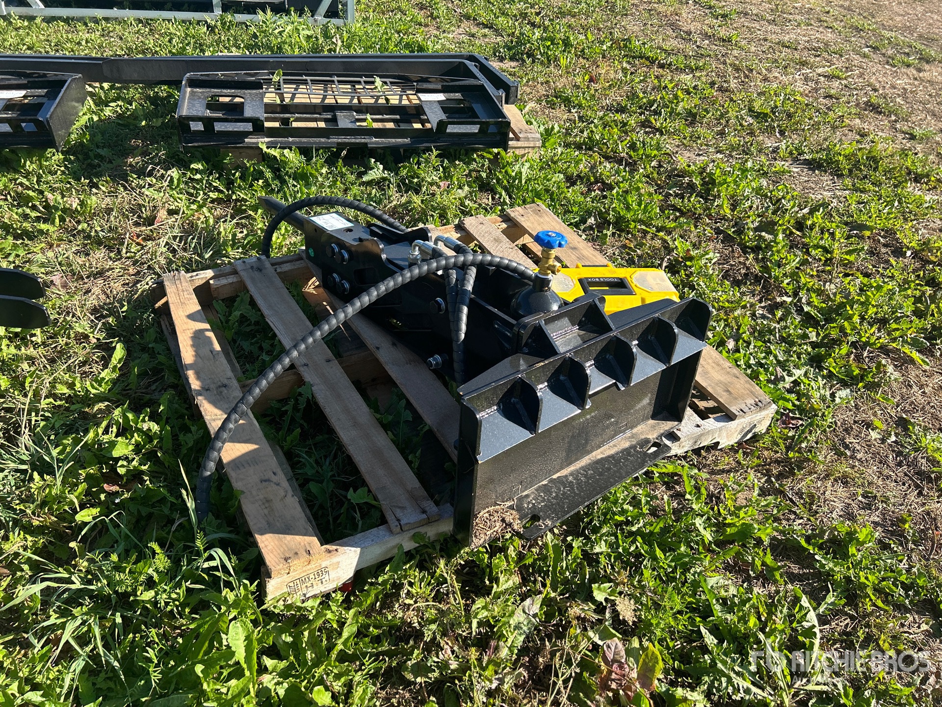 General Appearance with Zdjęcie, lewy dolny róg