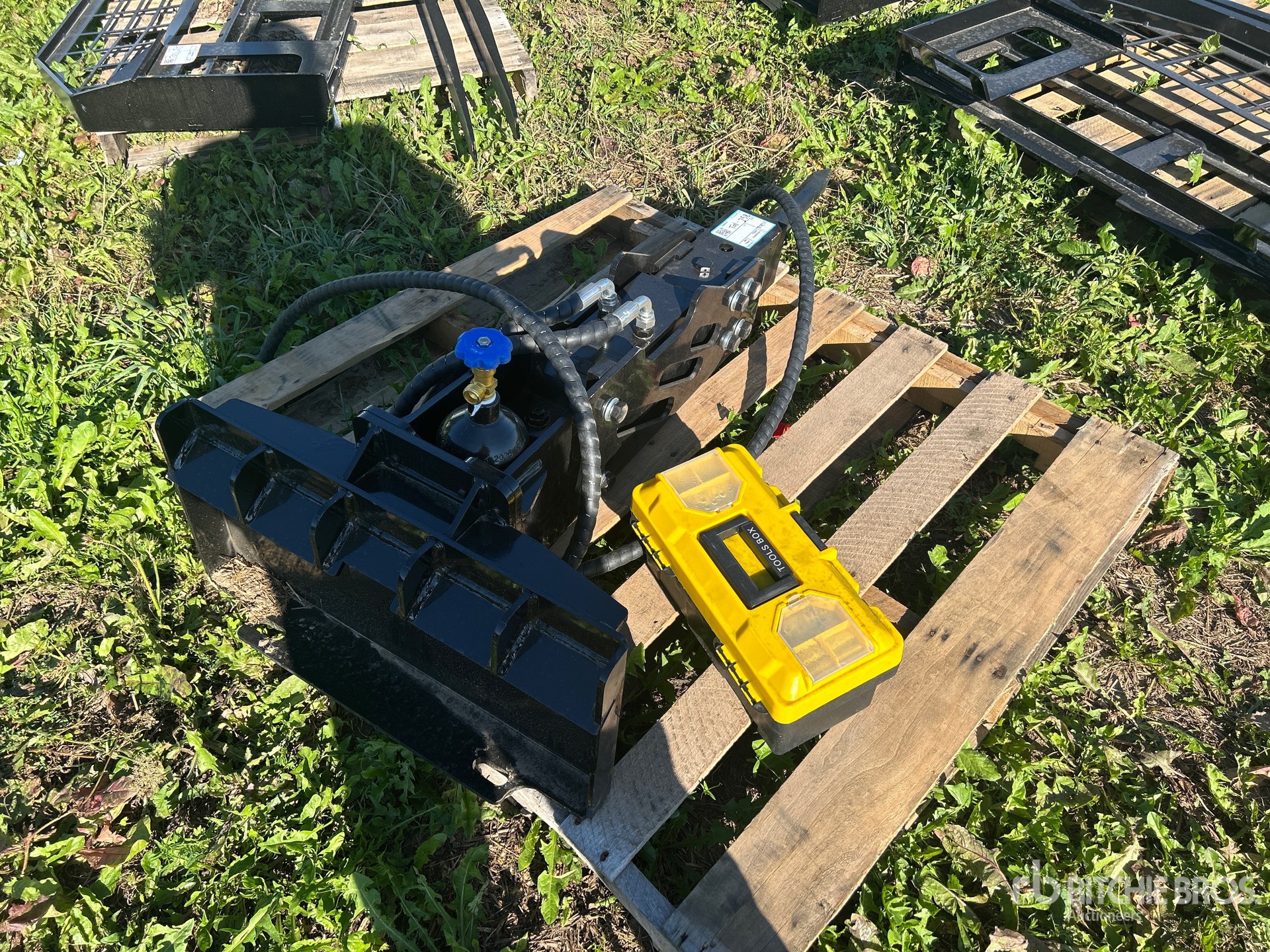 General Appearance with Zdjęcie, prawy dolny róg