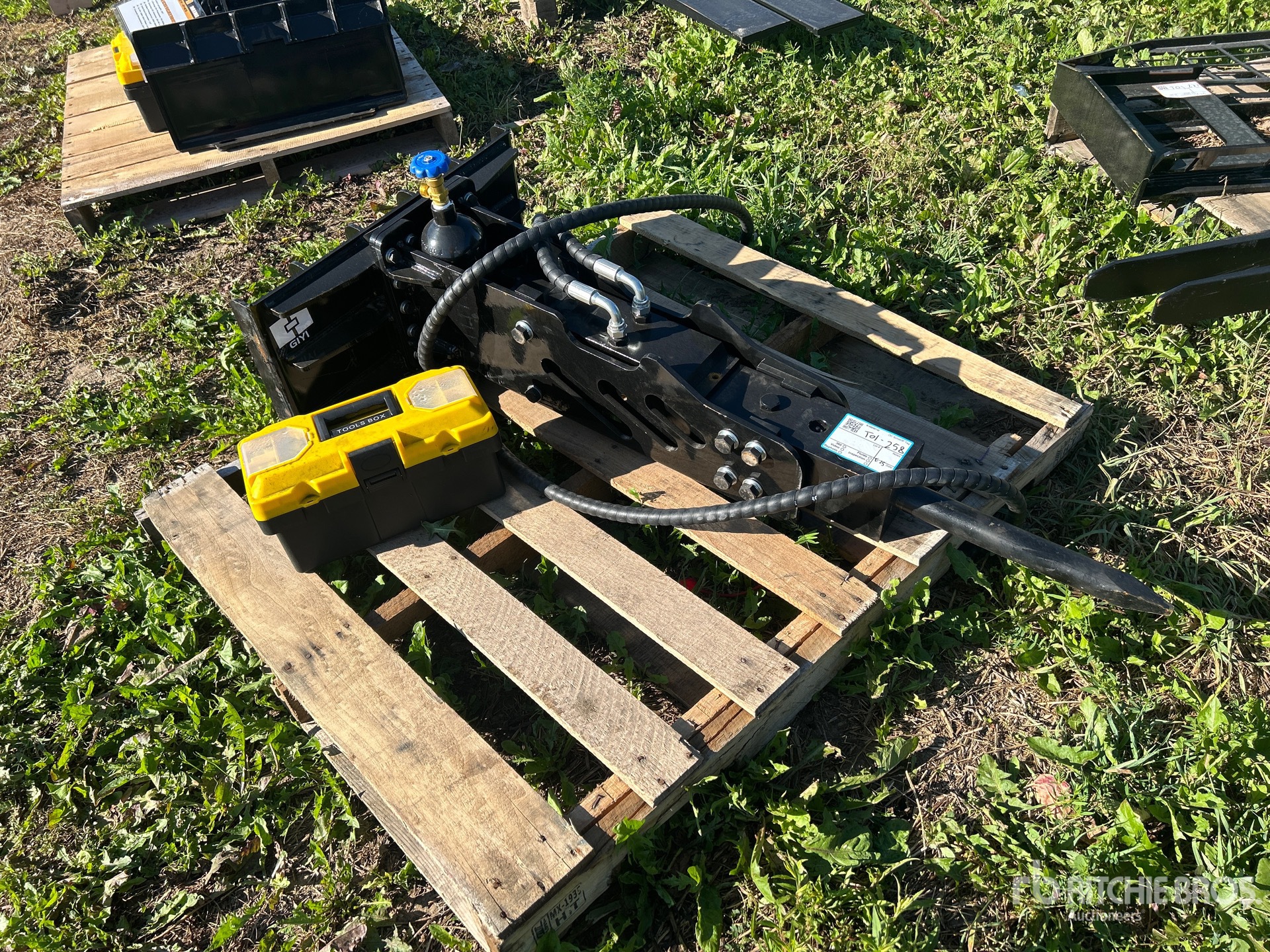 General Appearance with Zdjęcie, prawy górny róg