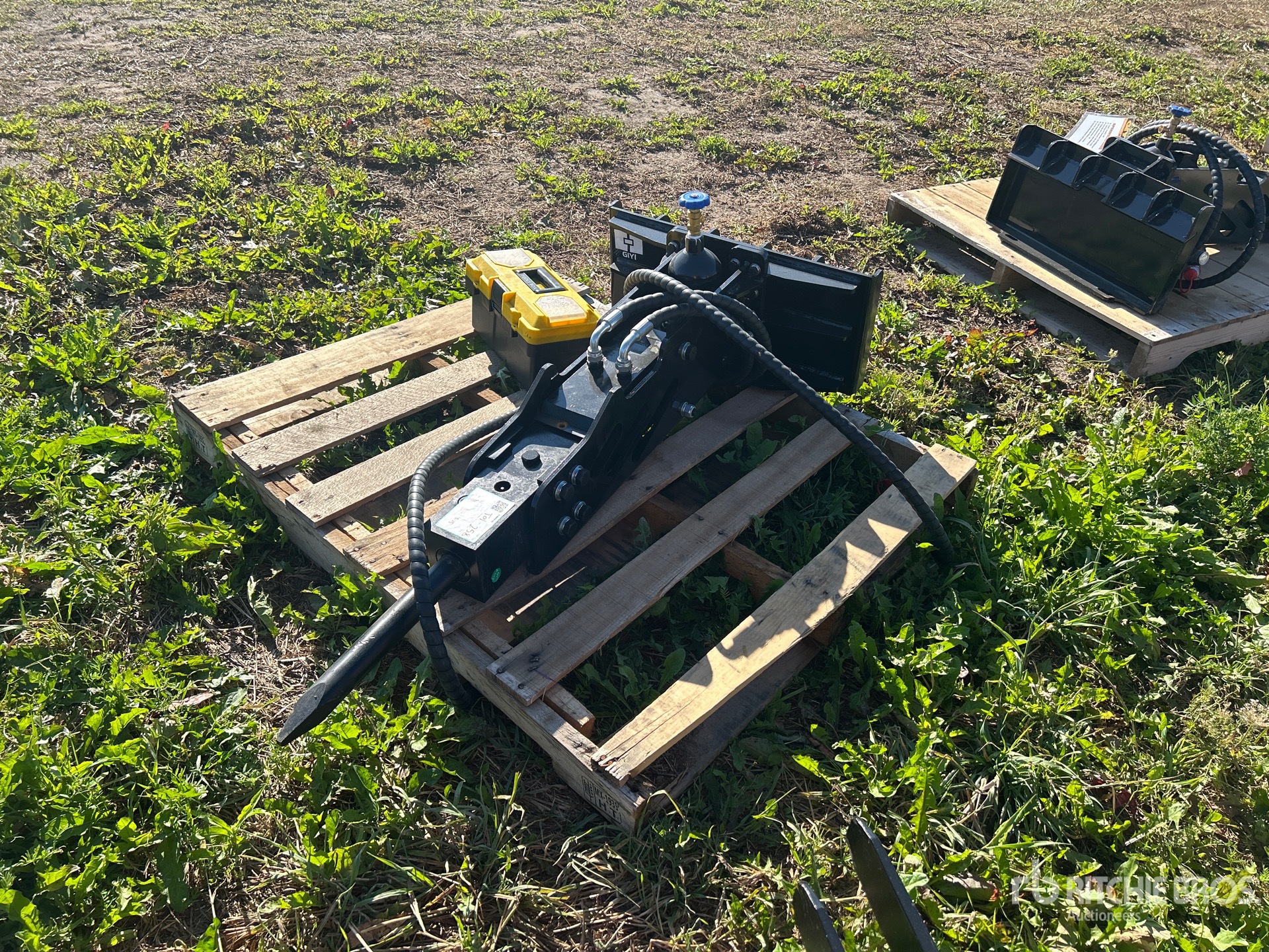 General Appearance with Zdjęcie, lewy górny róg