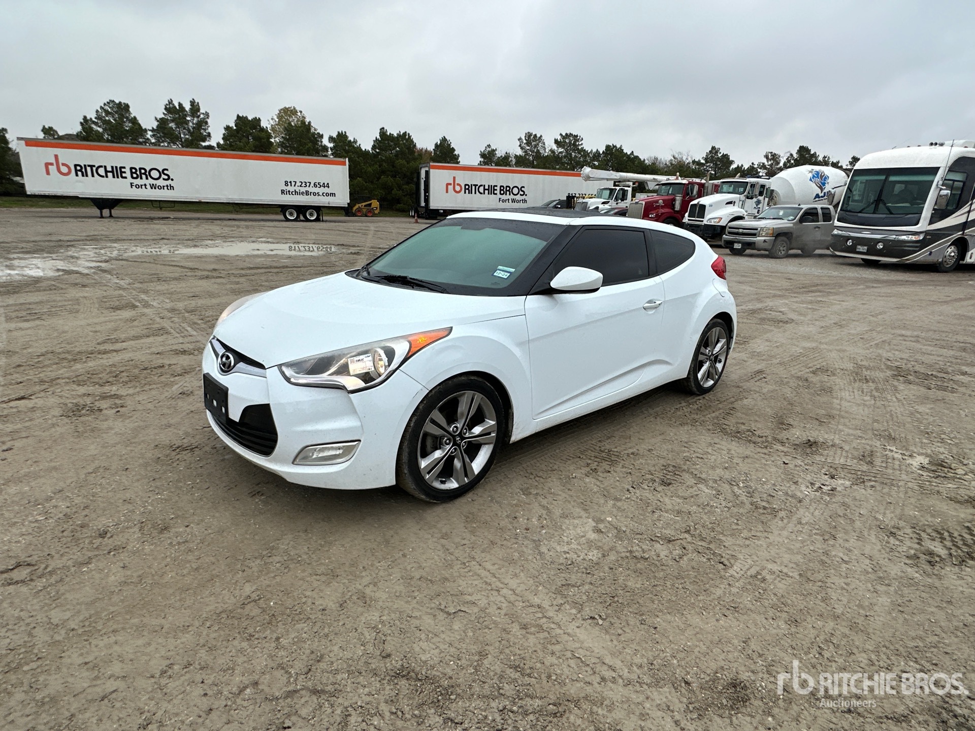 General Appearance with Spin