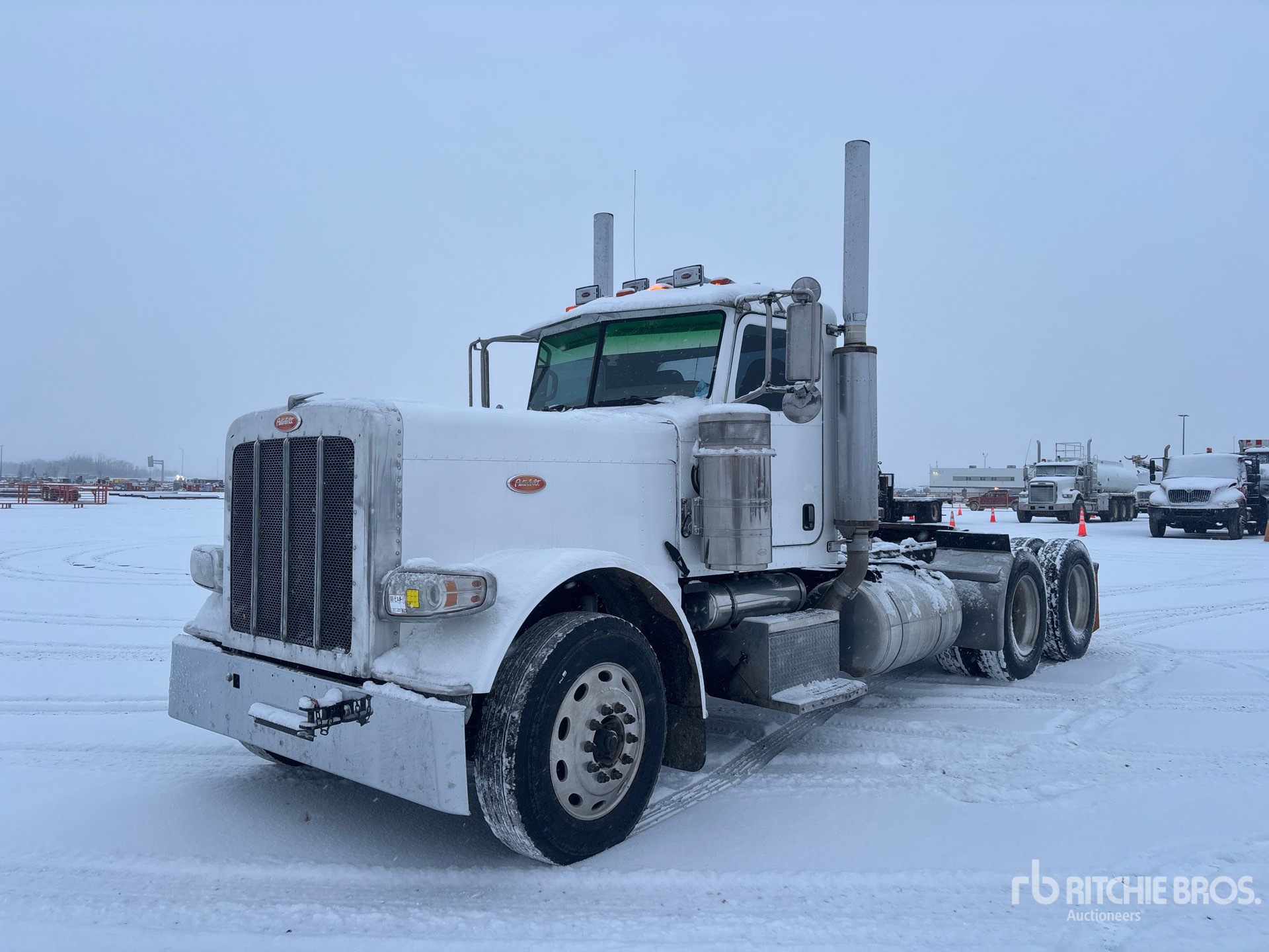 General Appearance with Spin